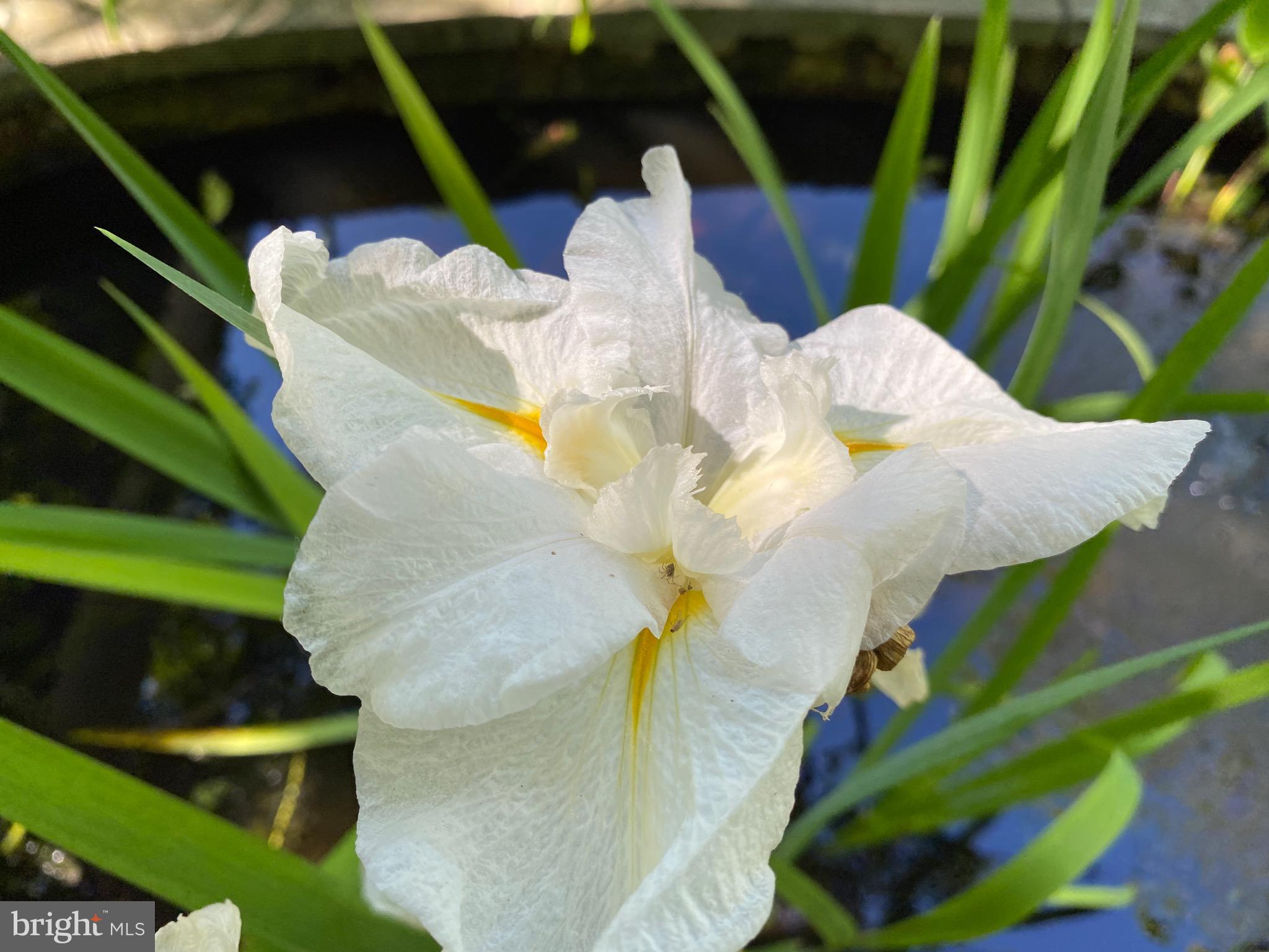 ROLAND PARK - Residential