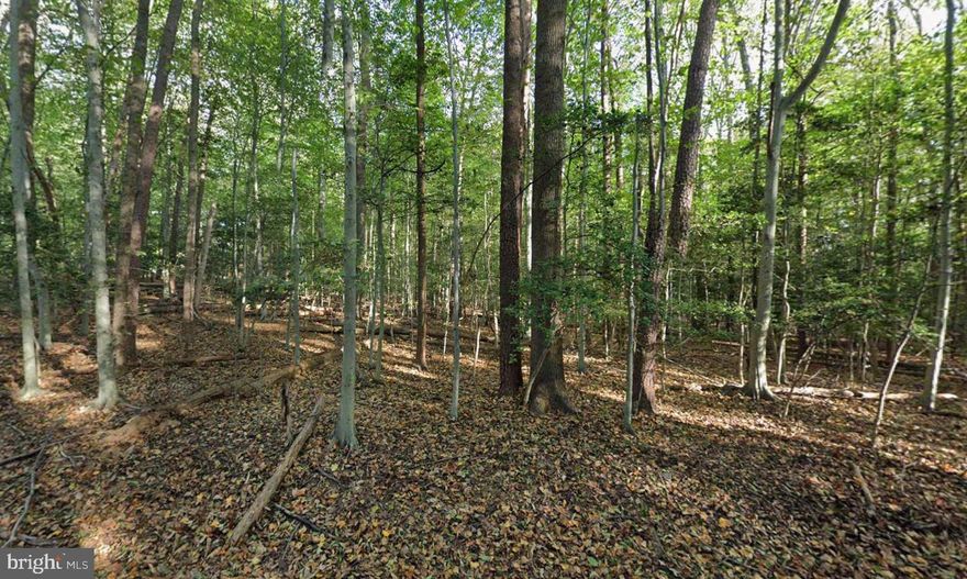 A Rare Opportunity to Build an Estate Home Near the Potomac
Seize a truly exceptional opportunity to build an extraordinary estate home on the last remaining lot within a highly coveted, ultra-private neighborhood. Offering unparalleled access to the Potomac River and miles of scenic parkland trails, this remarkable parcel provides a serene and inspiring backdrop for your custom residence.

The property showcases a harmonious blend of towering mature trees, natural clearings, and gentle slopes that create a park-like setting ideal for relaxation and outdoor enjoyment. Its expansive terrain offers versatile building options—perfect for designing a luxury estate complete with a pool, tennis courts, or other bespoke amenities. Whether you envision a sprawling architectural masterpiece, a recreational retreat, or a peaceful sanctuary immersed in nature, this rare homesite delivers limitless possibilities to bring your vision to life.