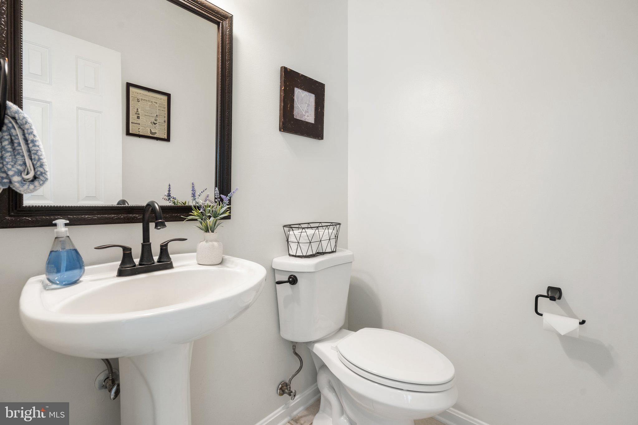 RIXEYVILLE LAKES - Residential