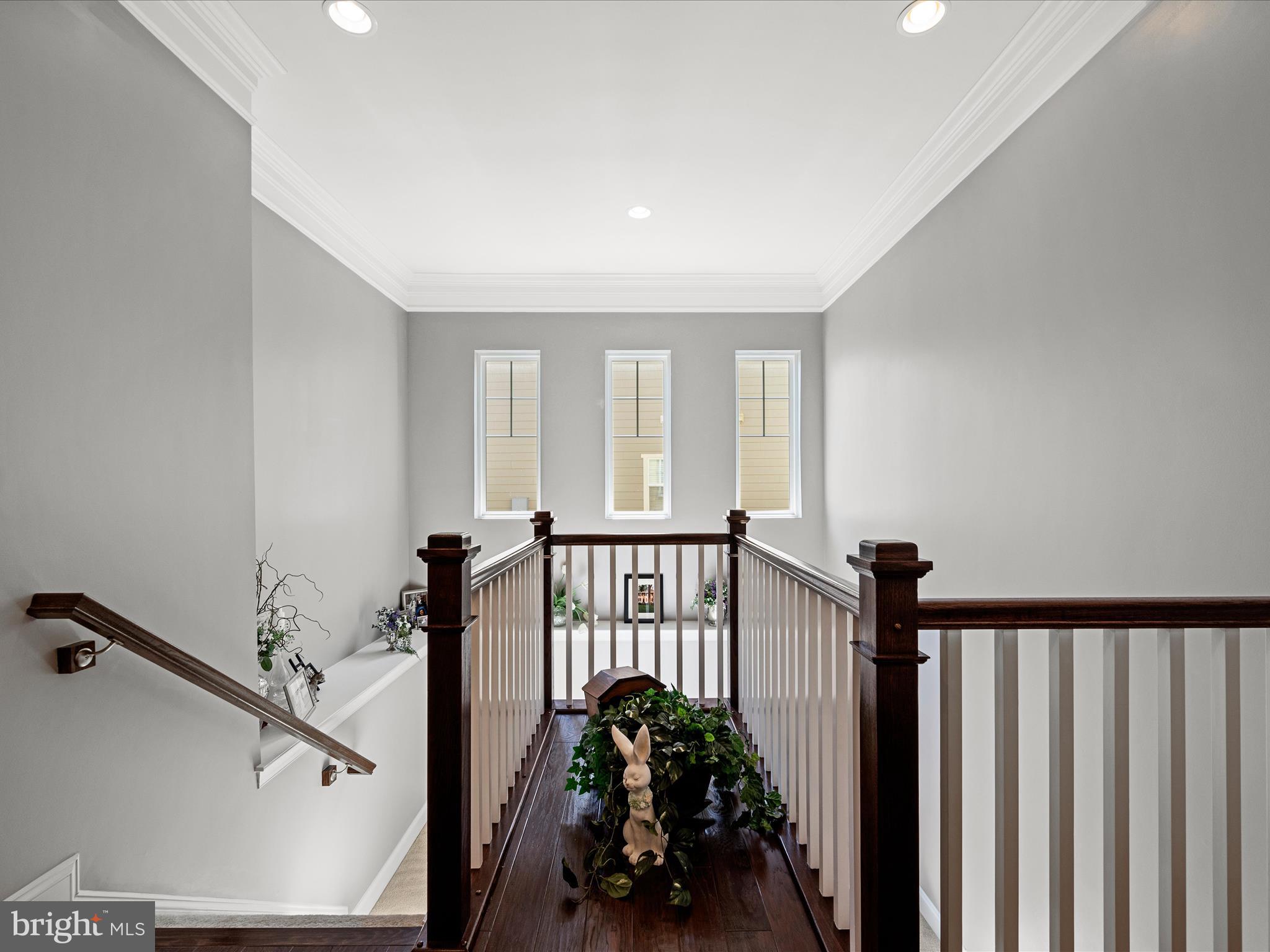 SHENANDOAH - Residential