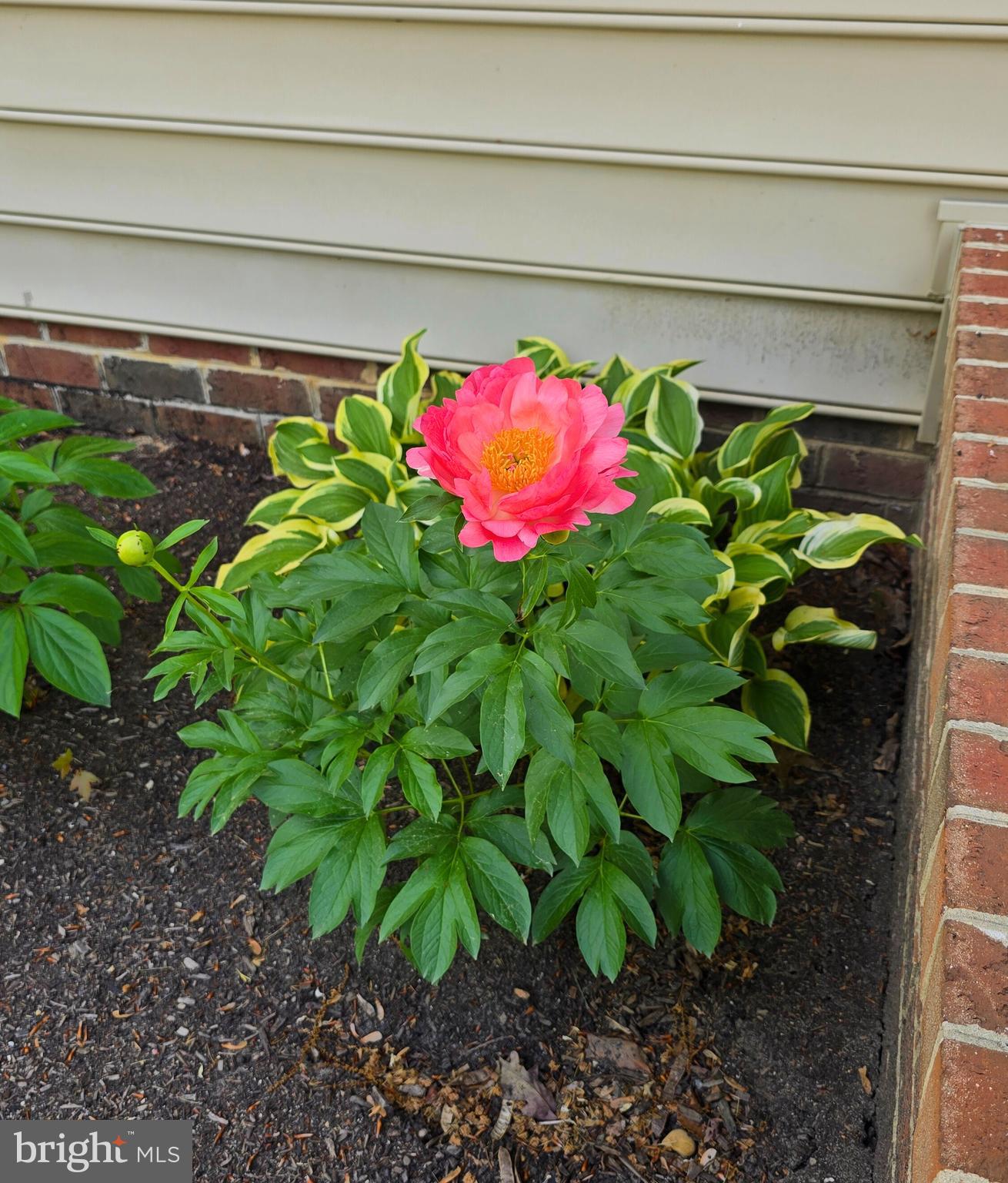 ACADEMY HILLS - Residential