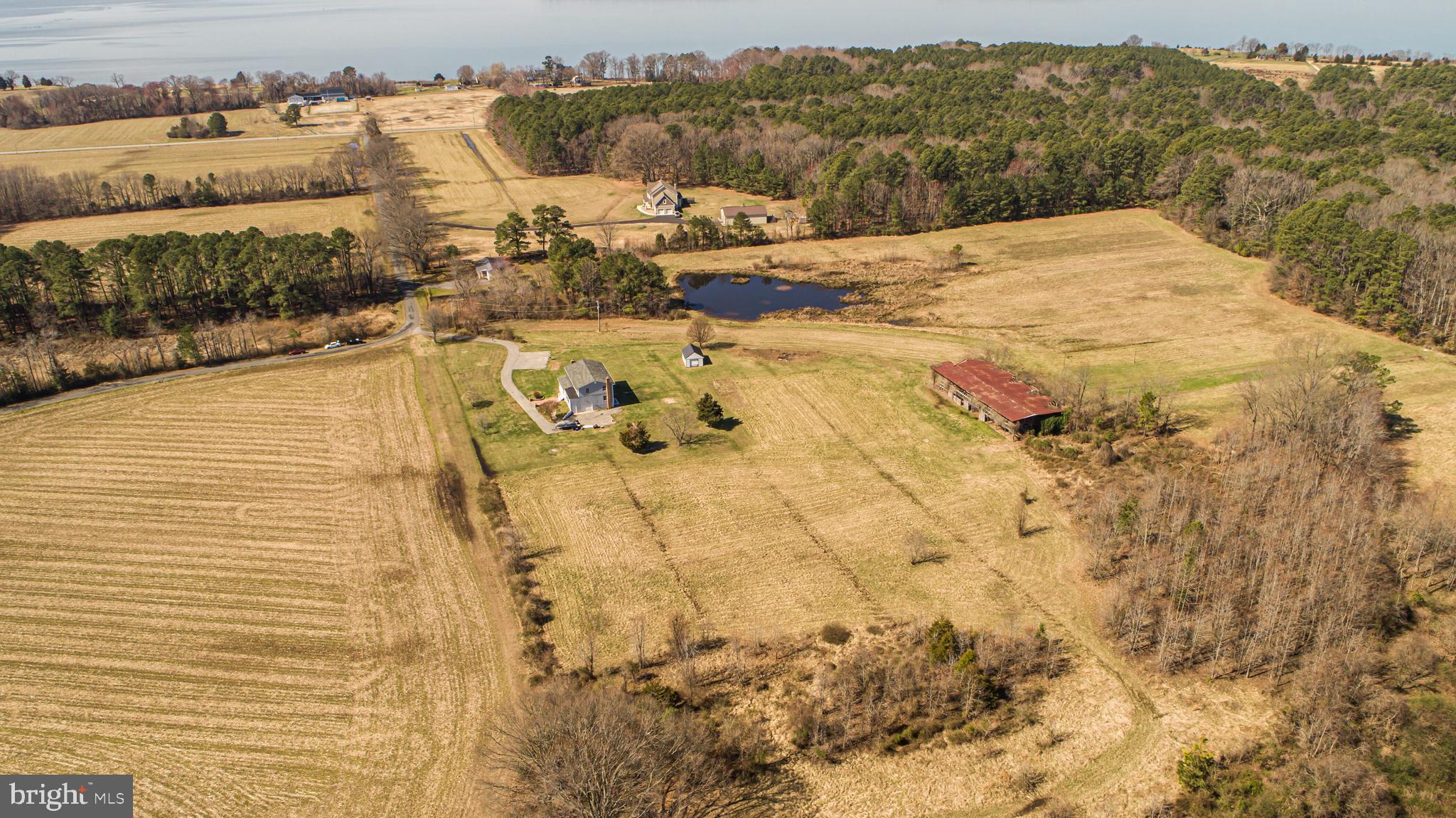 NONE AVAILABLE - Farm