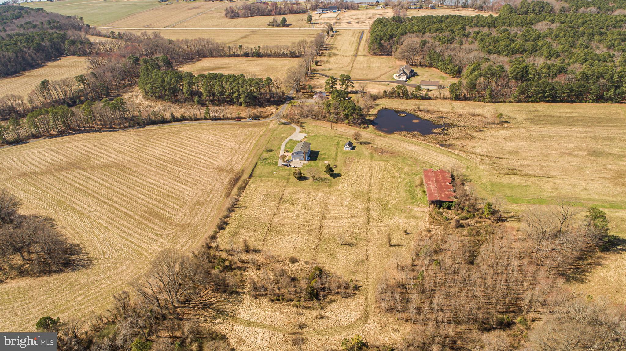 NONE AVAILABLE - Farm