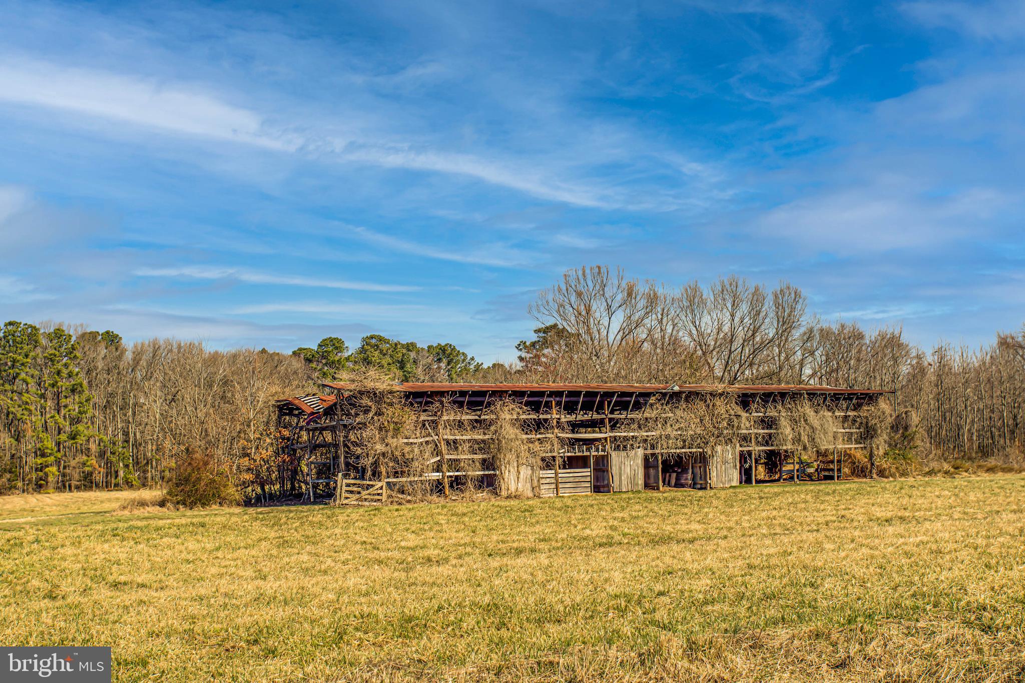 NONE AVAILABLE - Farm