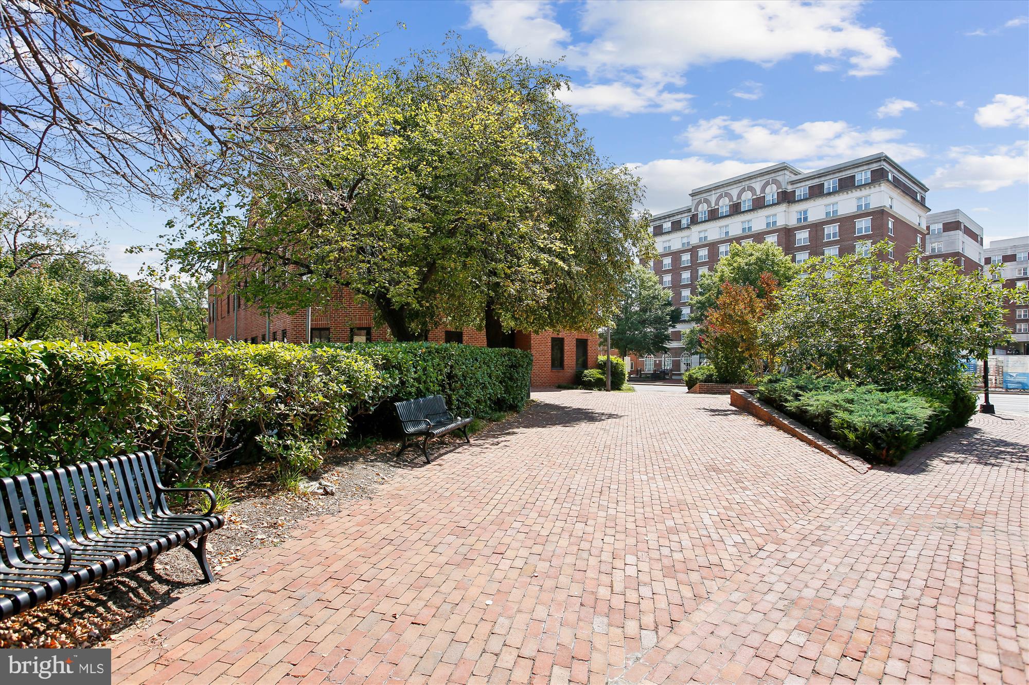 OLD TOWN ALEXANDRIA - Commercial Lease