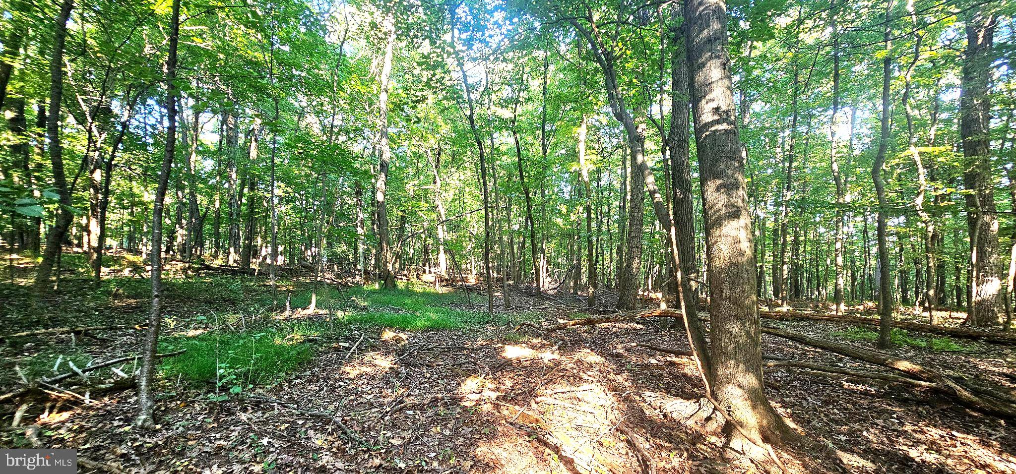 546 W WATERSVILLE ROAD