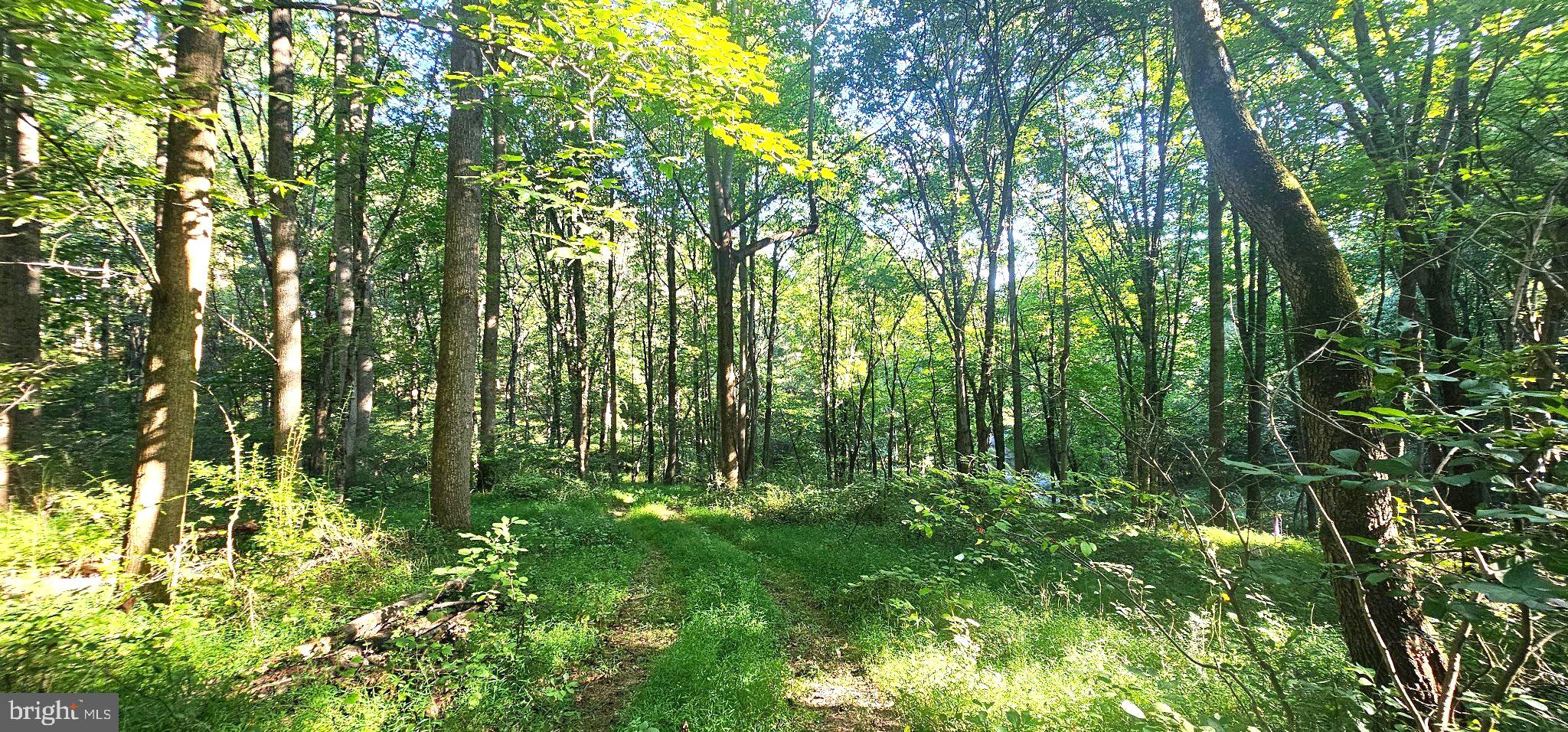 546 W WATERSVILLE ROAD