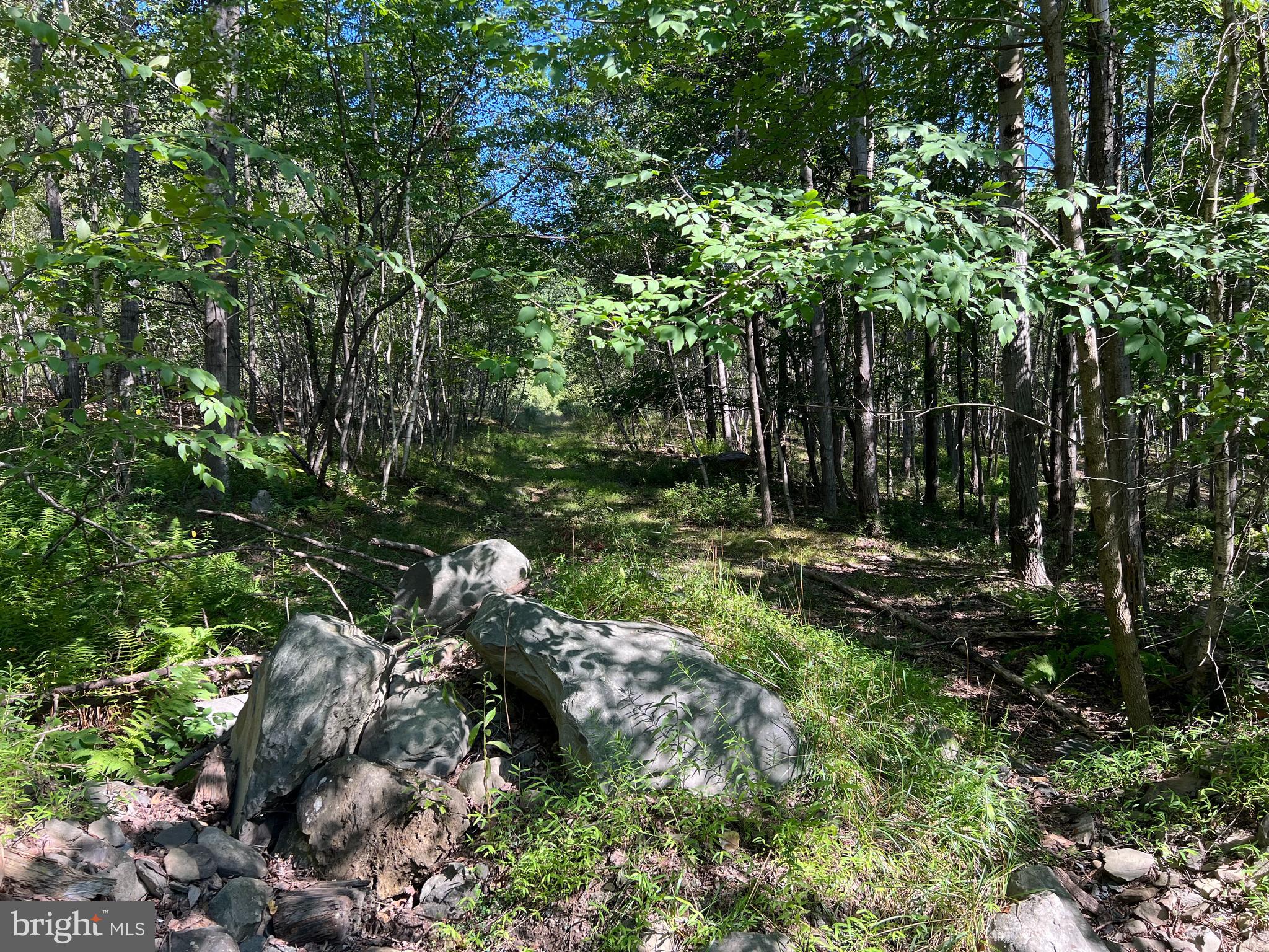 0 Lower Mountain Drive LOWER MOUNTAIN DRIVE
