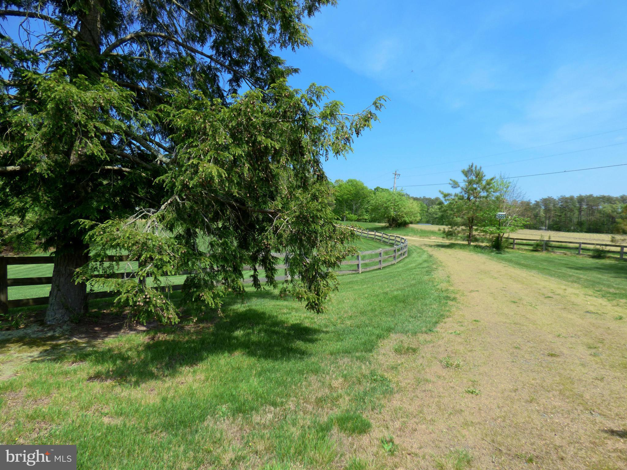 CHESTNUT HILLS - Residential