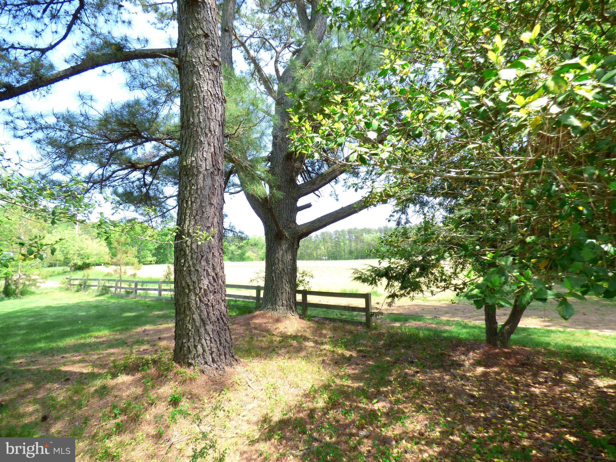 CHESTNUT HILLS - Residential