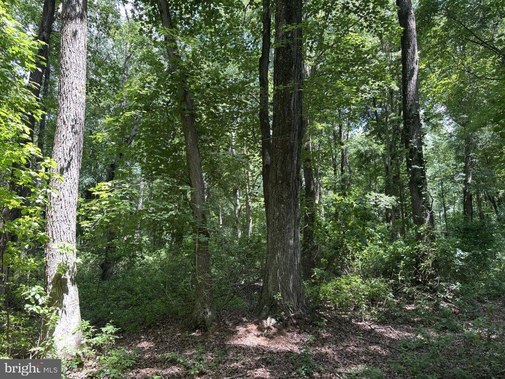 PETERS CORNER ROAD