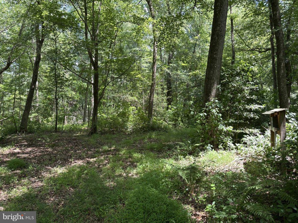 PETERS CORNER ROAD