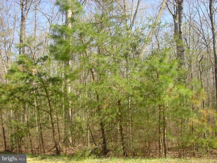 One of three wooded, clustered lots in Maple Run!  This one is 2.604 acres in size.  Convenient central location with easy access to shopping, schools, PAX-NAS, entertainment...you name it!  Perc and plat are recorded.  Shared driveway.  Call for covenants and copy of plat.