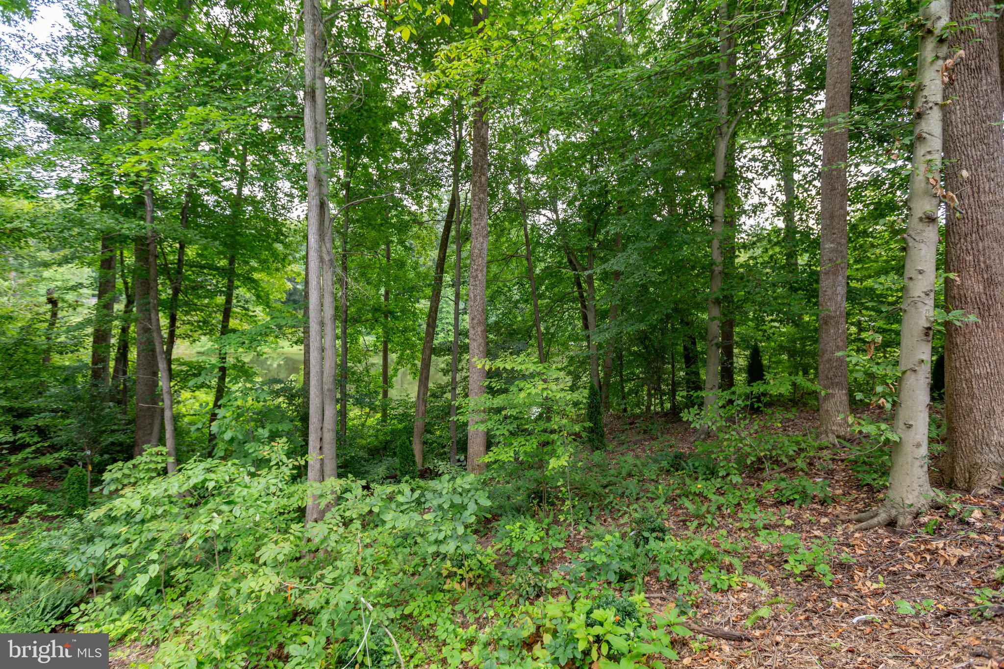 PRESIDENTIAL LAKES - Residential