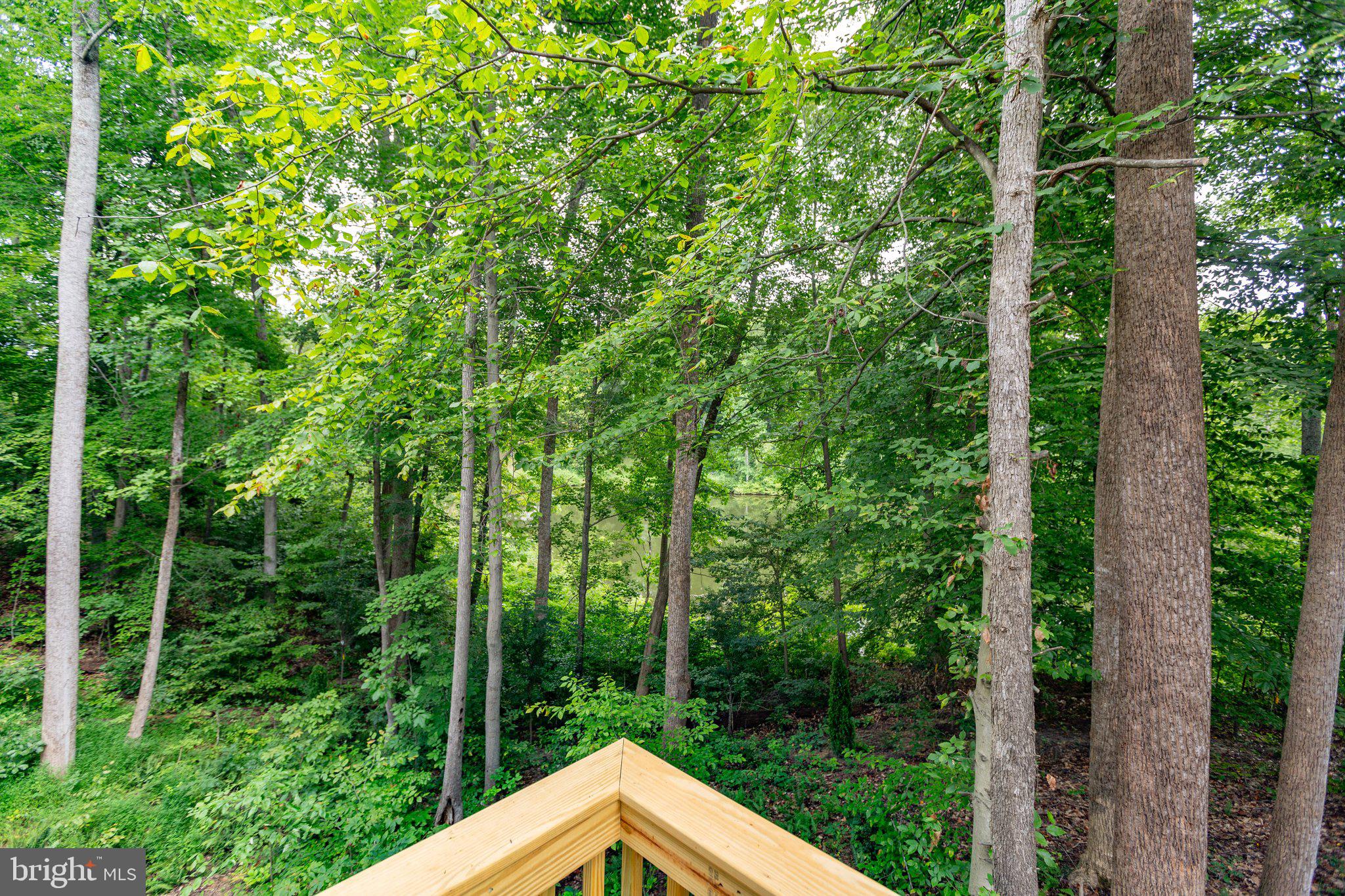 PRESIDENTIAL LAKES - Residential