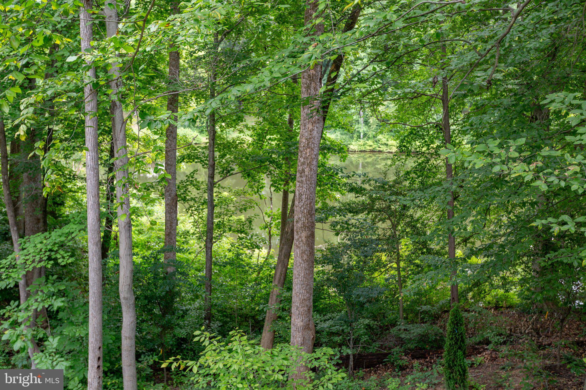 PRESIDENTIAL LAKES - Residential