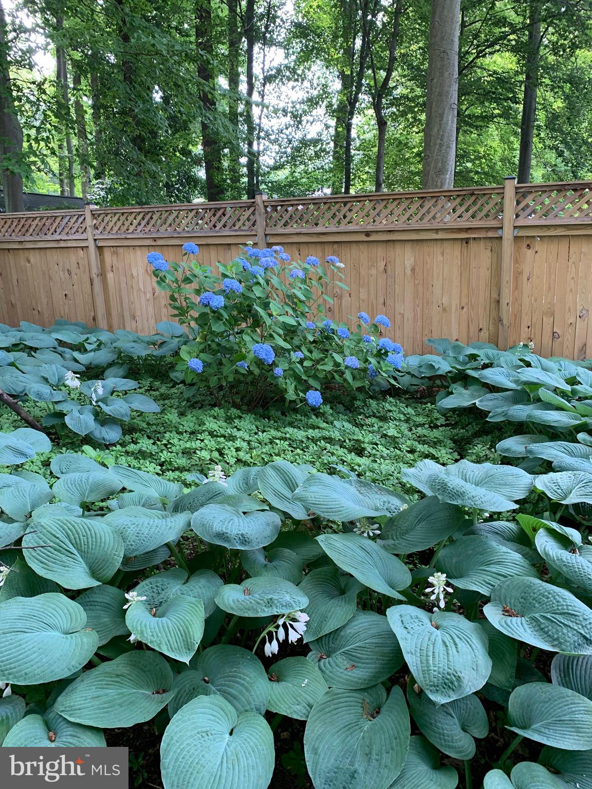 BEL PRE WOODS - Residential