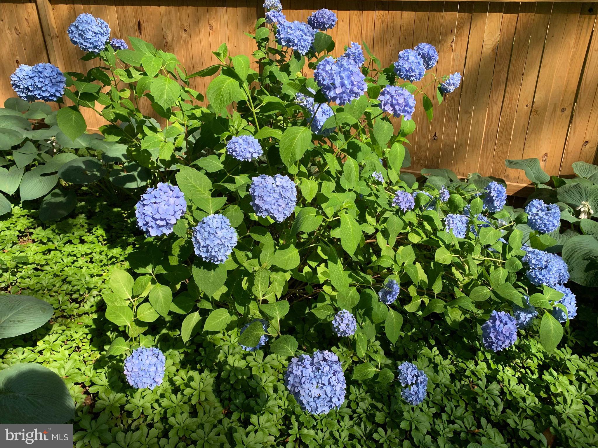 BEL PRE WOODS - Residential