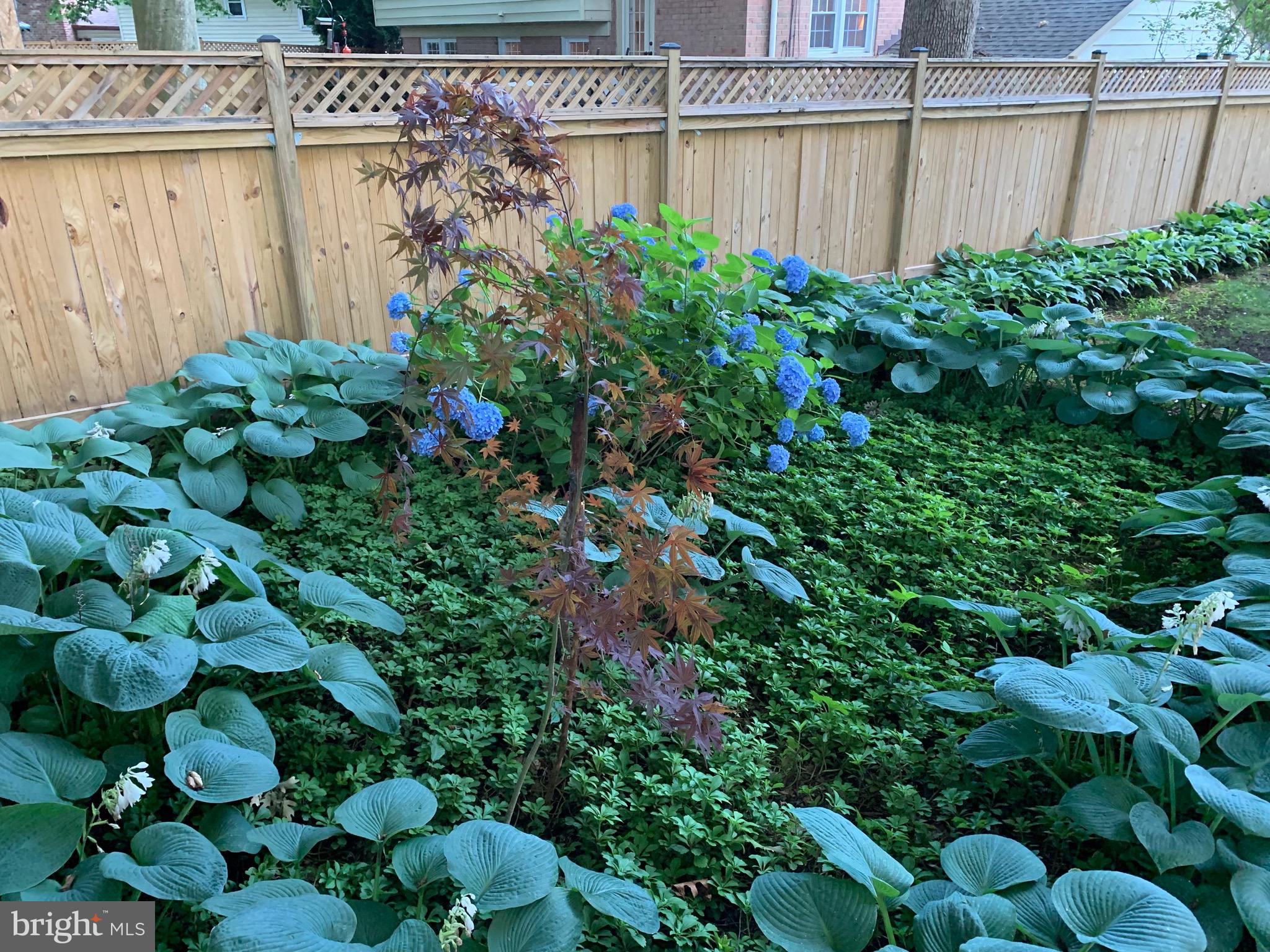 BEL PRE WOODS - Residential