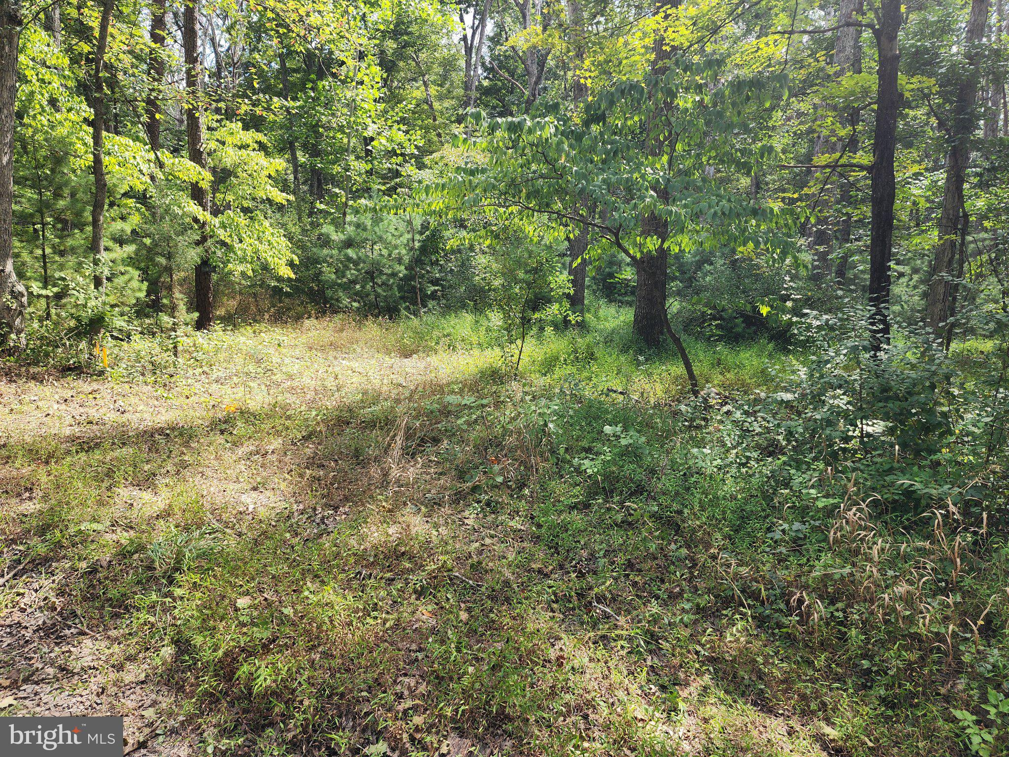 380 CONNERS HOLLOW ROAD