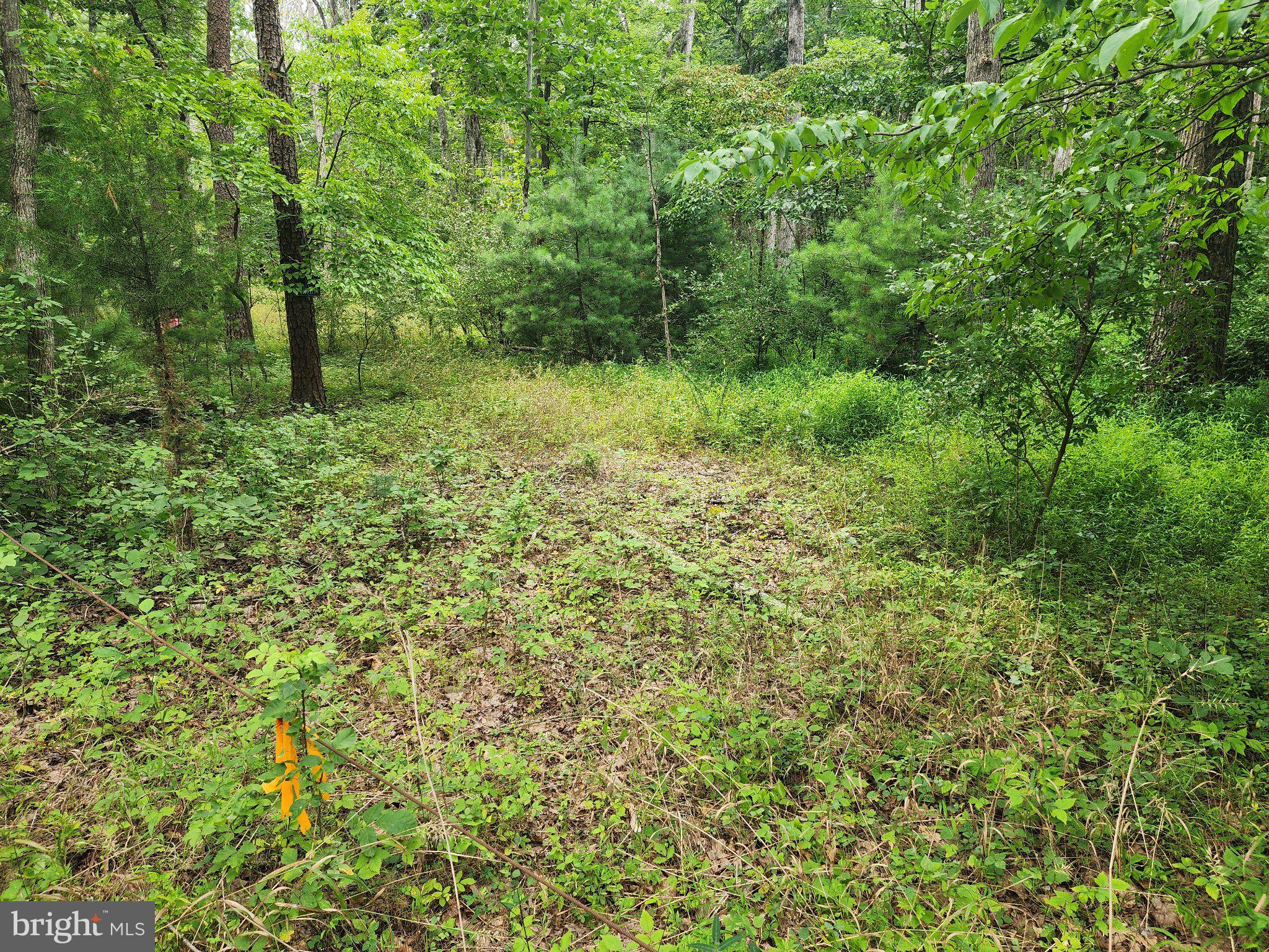 380 CONNERS HOLLOW ROAD