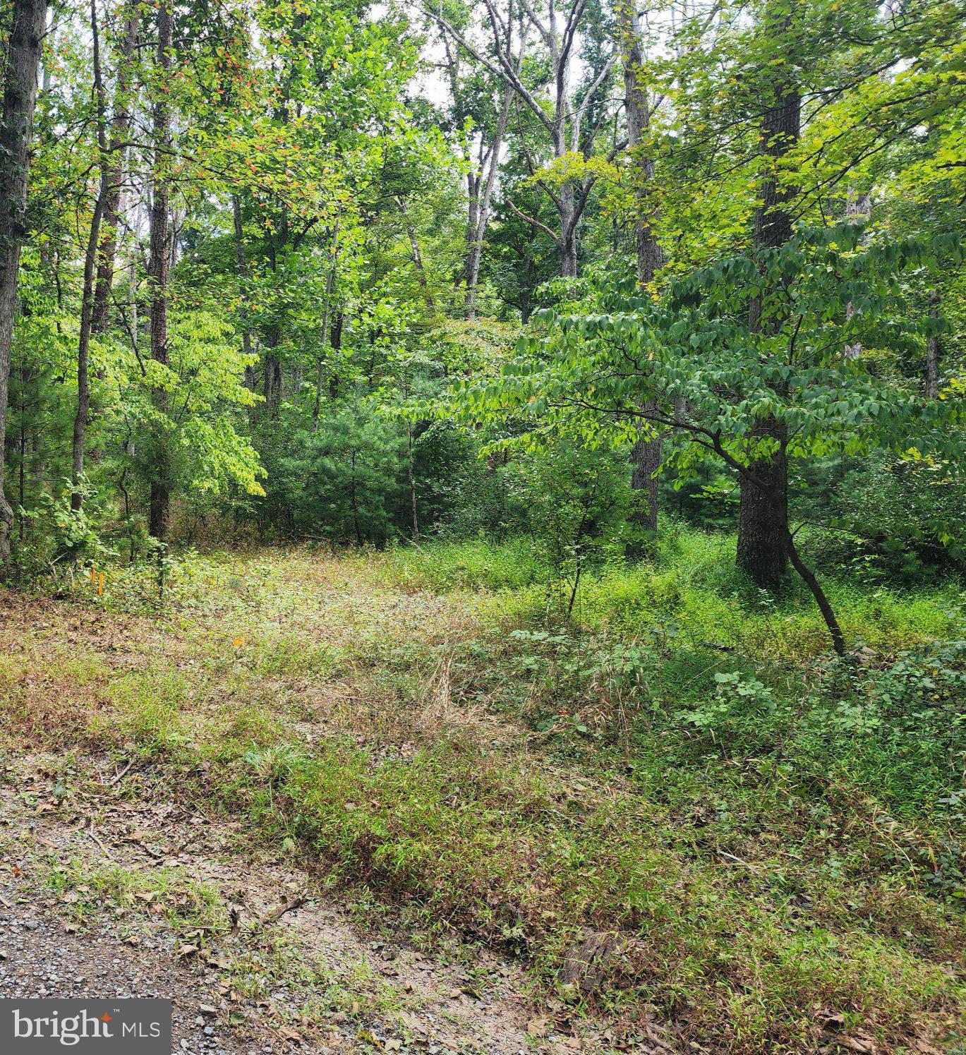 380 CONNERS HOLLOW ROAD