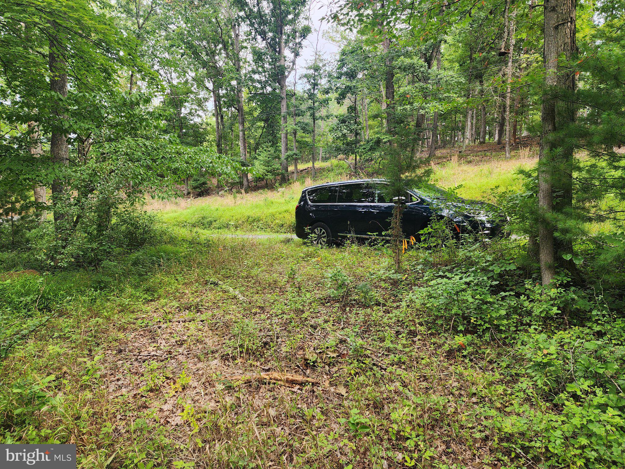 380 CONNERS HOLLOW ROAD