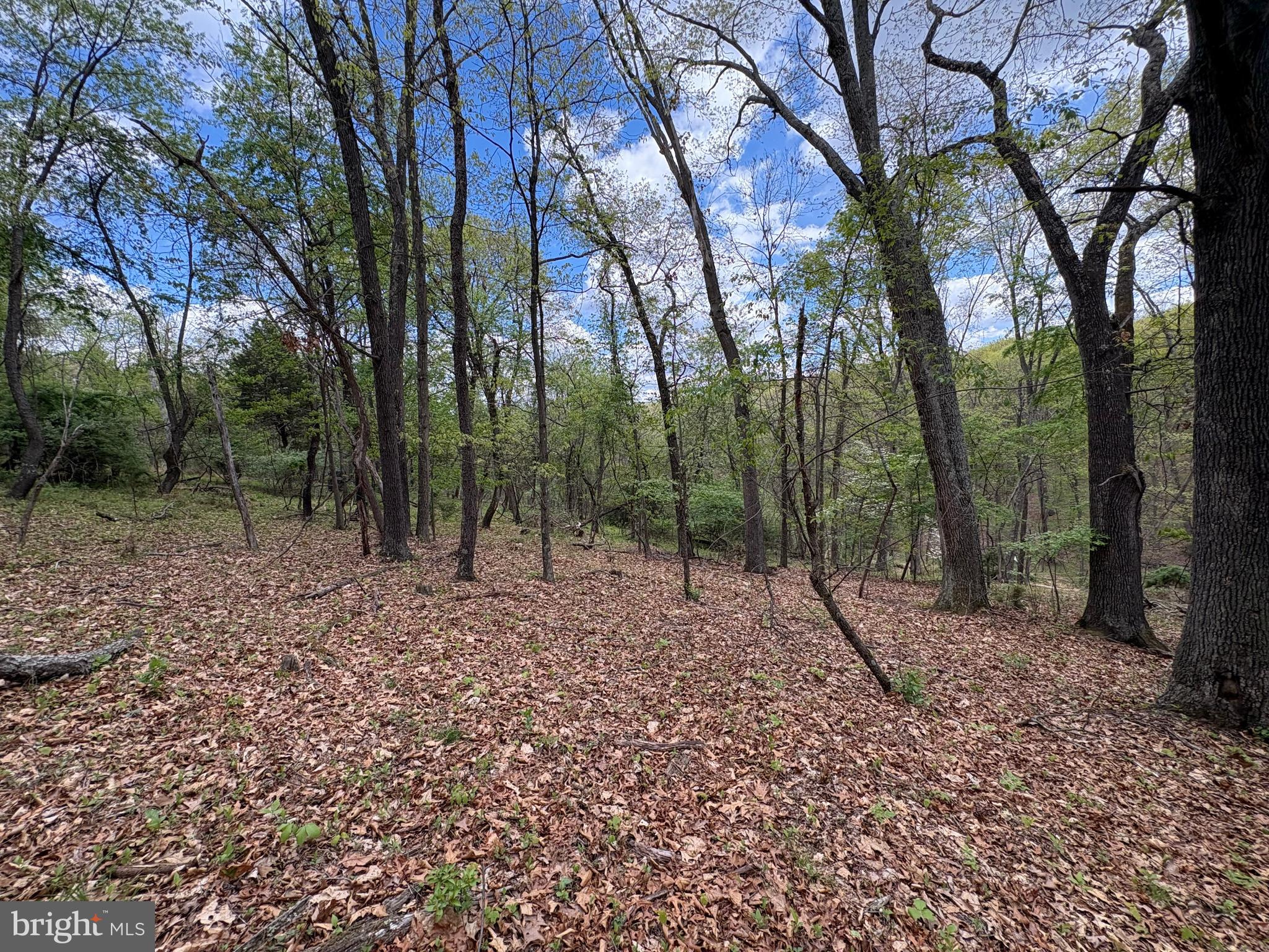 CABIN ON THE MOUNTAIN - Land