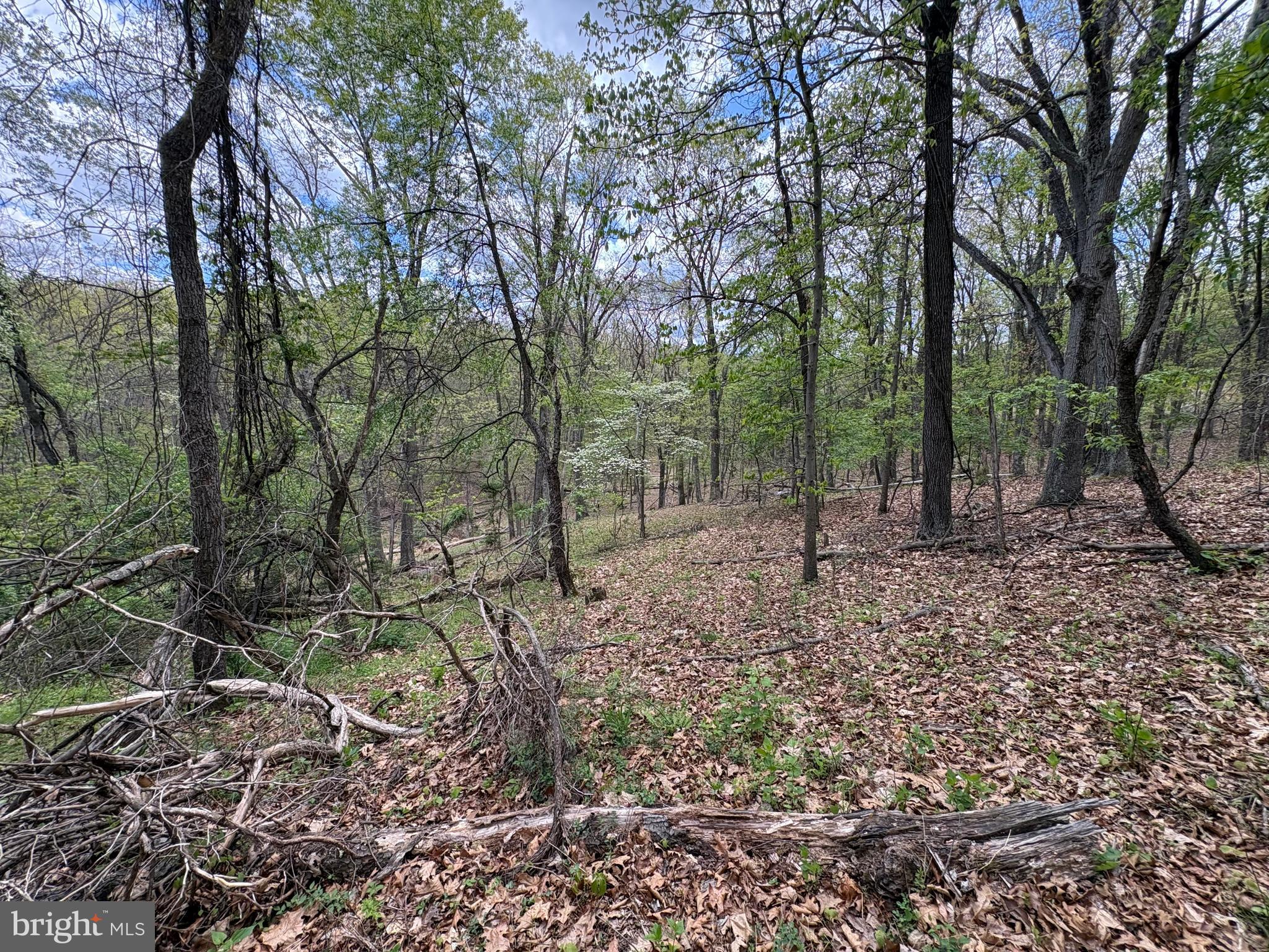 CABIN ON THE MOUNTAIN - Land