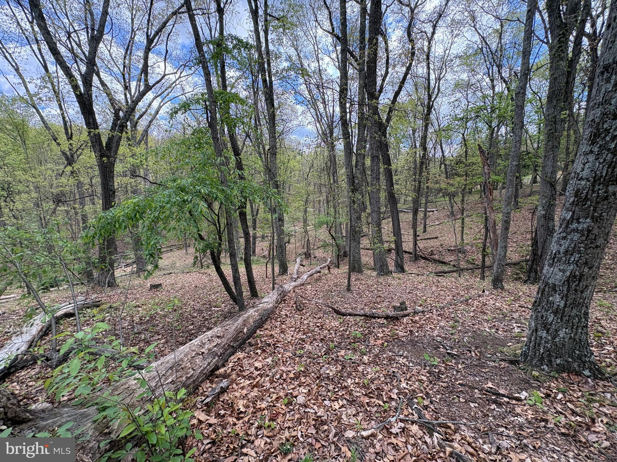 CABIN ON THE MOUNTAIN - Land