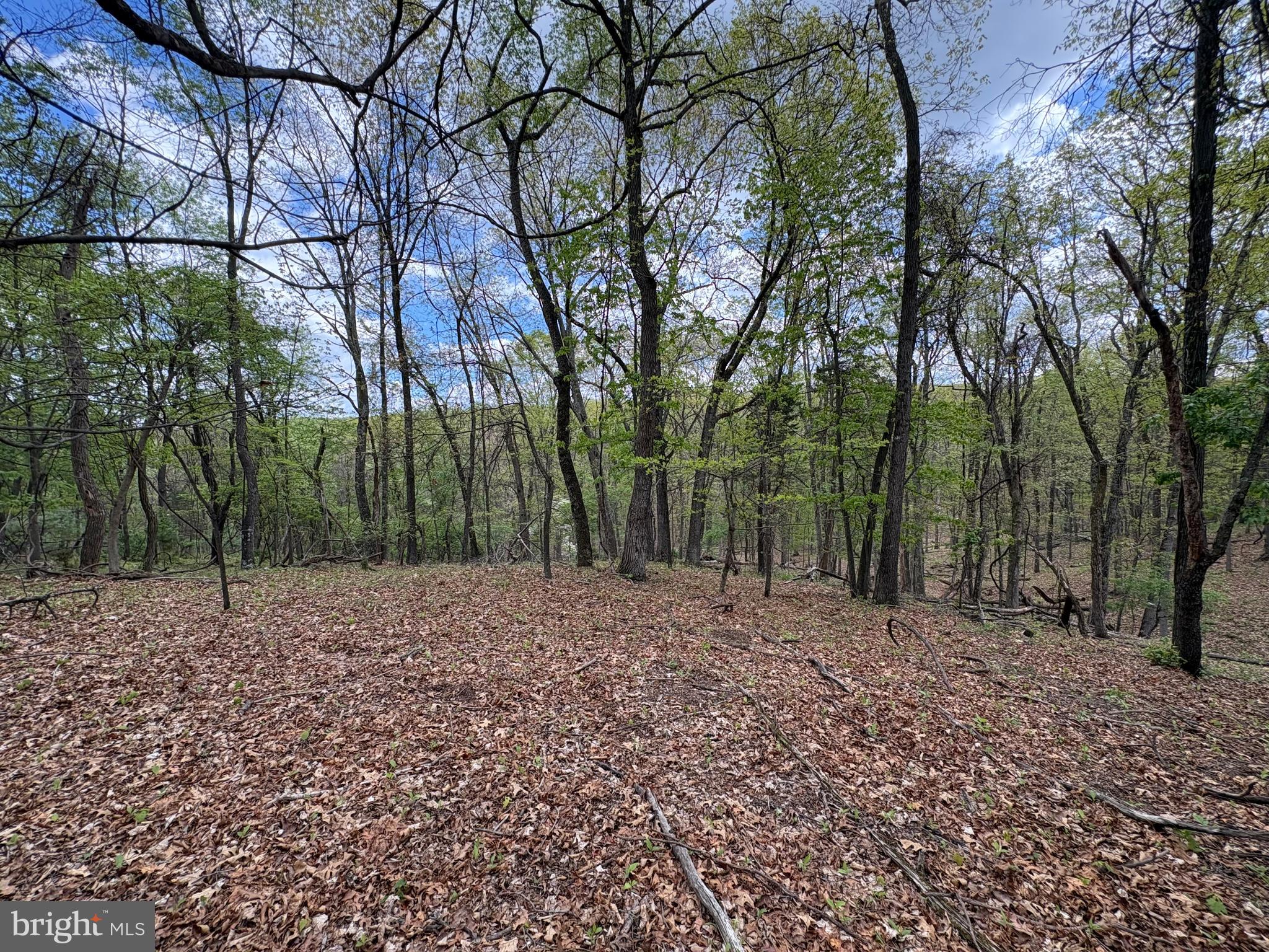 CABIN ON THE MOUNTAIN - Land
