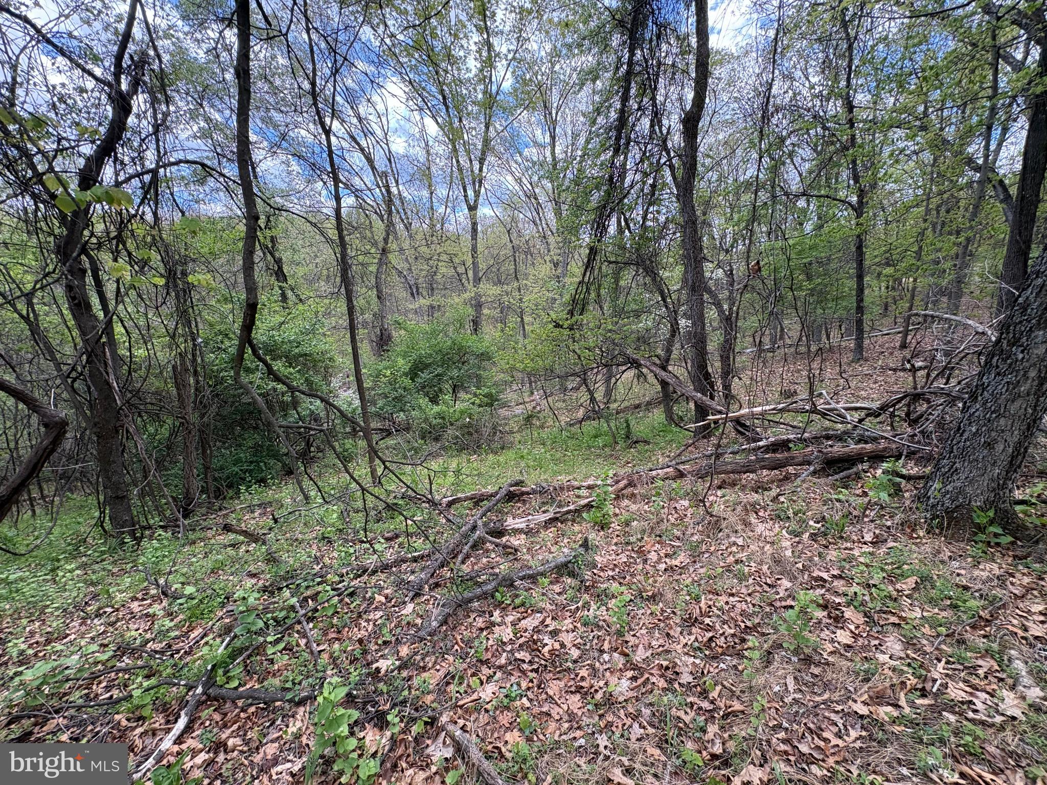 CABIN ON THE MOUNTAIN - Land