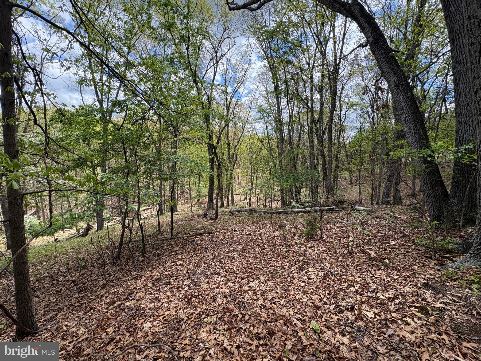 CABIN ON THE MOUNTAIN - Land