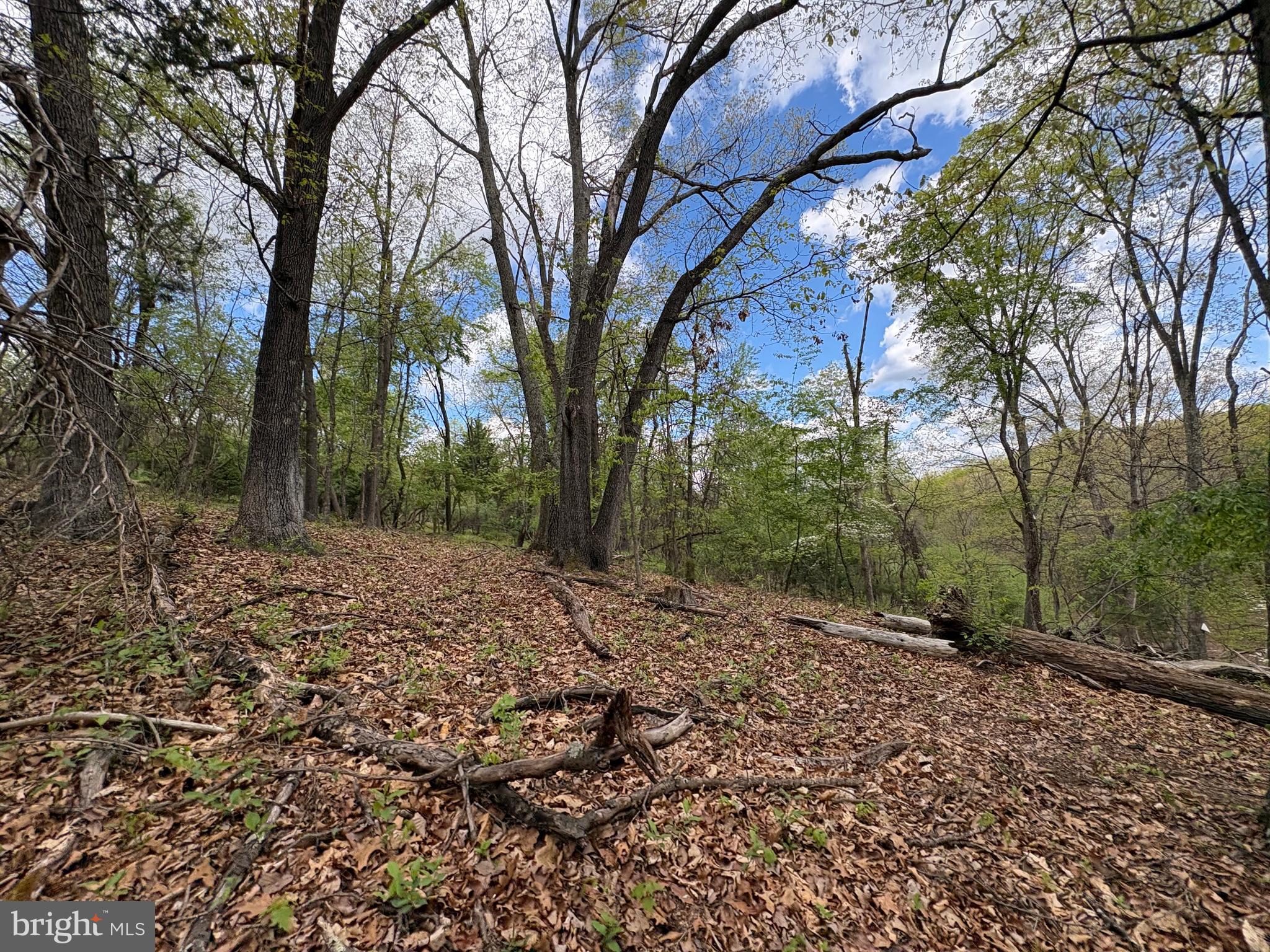CABIN ON THE MOUNTAIN - Land
