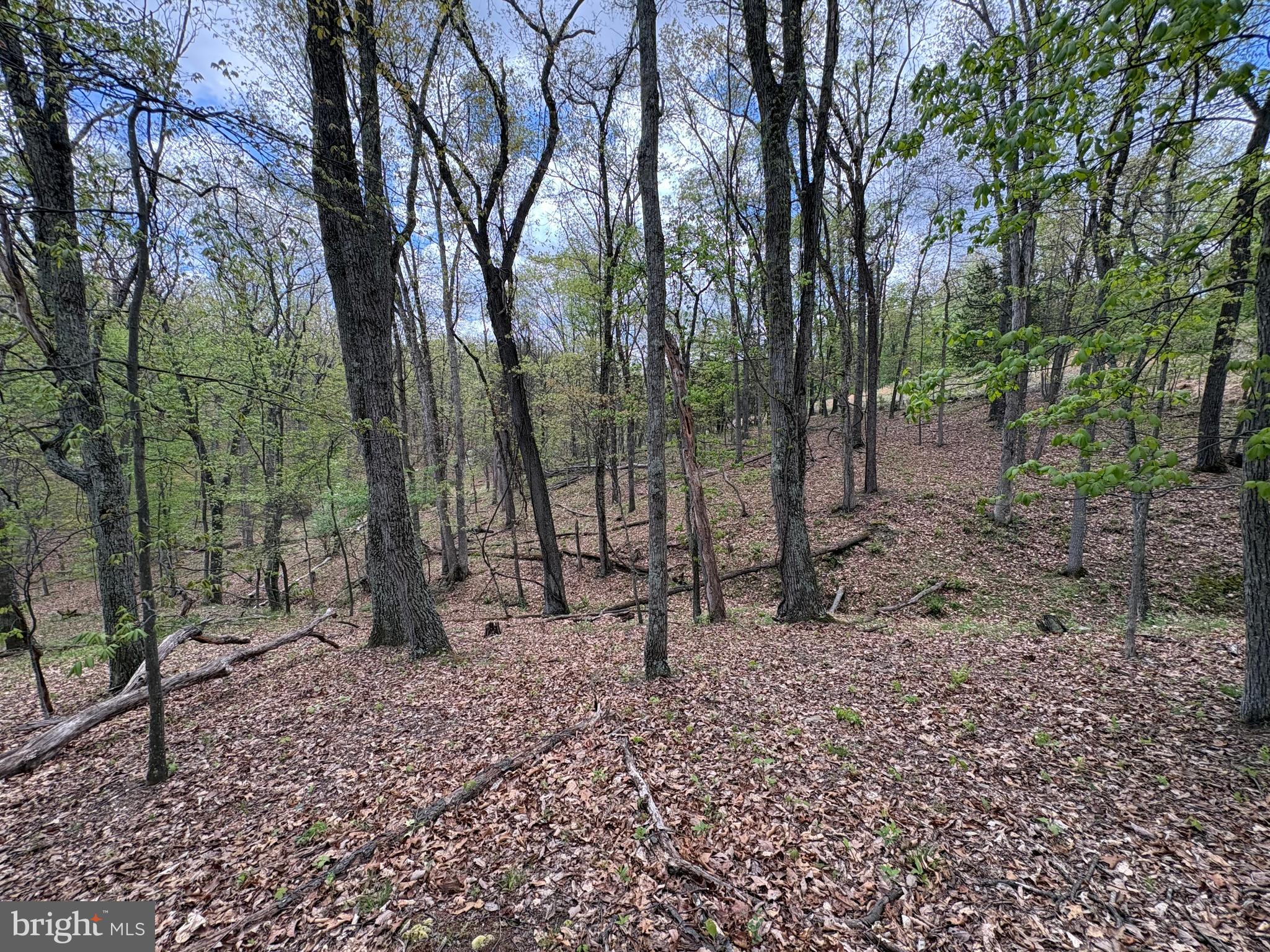 CABIN ON THE MOUNTAIN - Land