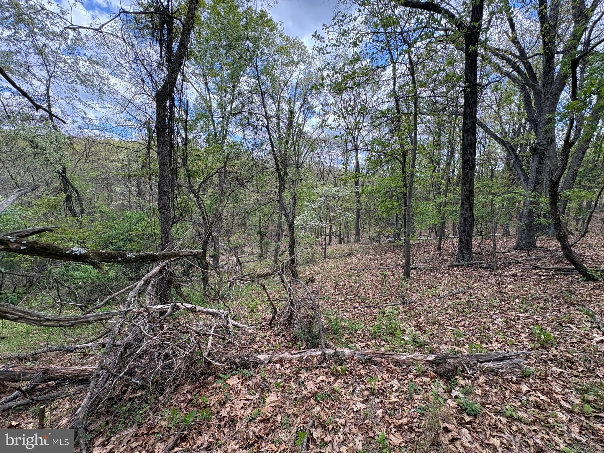 CABIN ON THE MOUNTAIN - Land