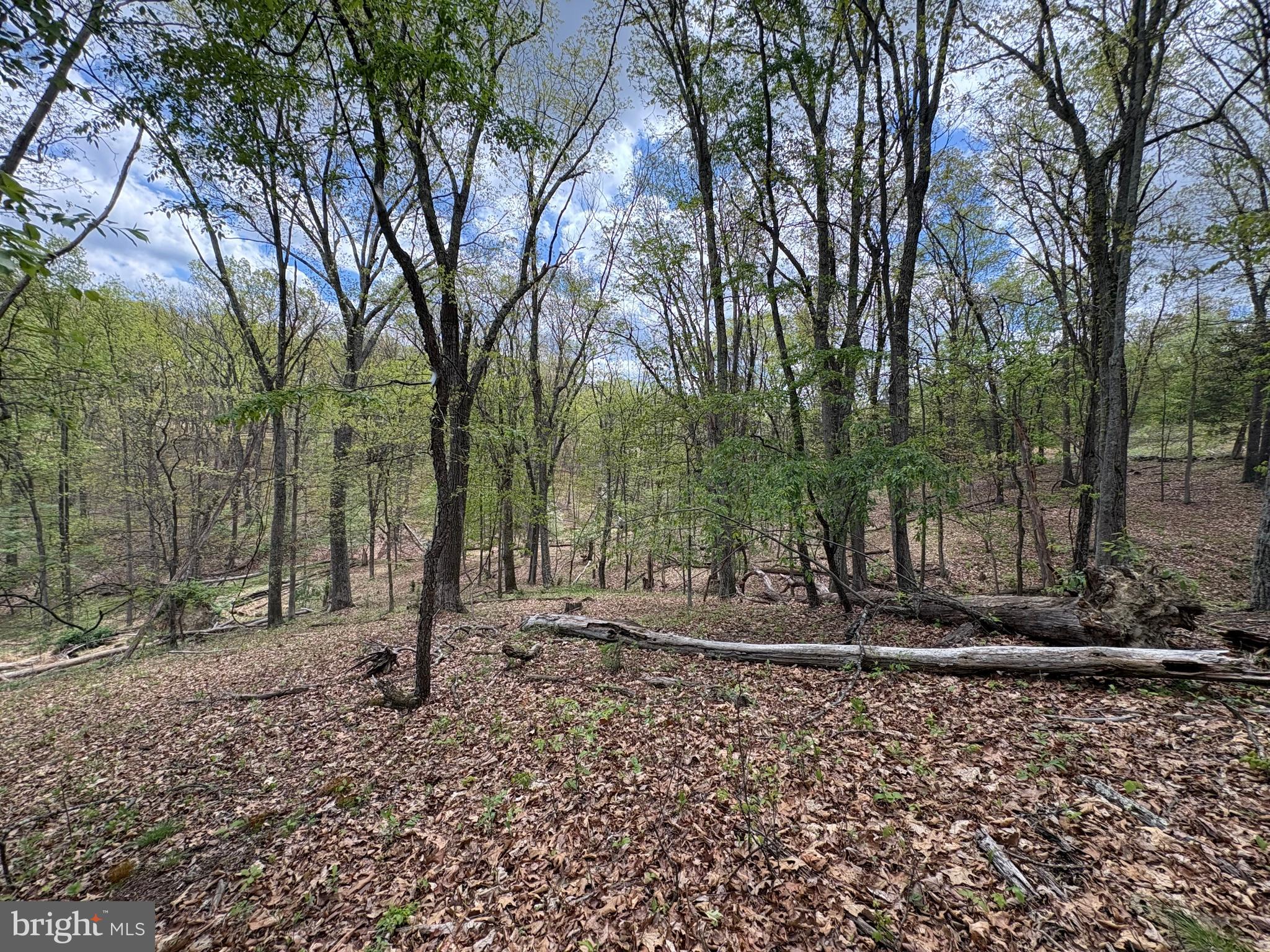 CABIN ON THE MOUNTAIN - Land