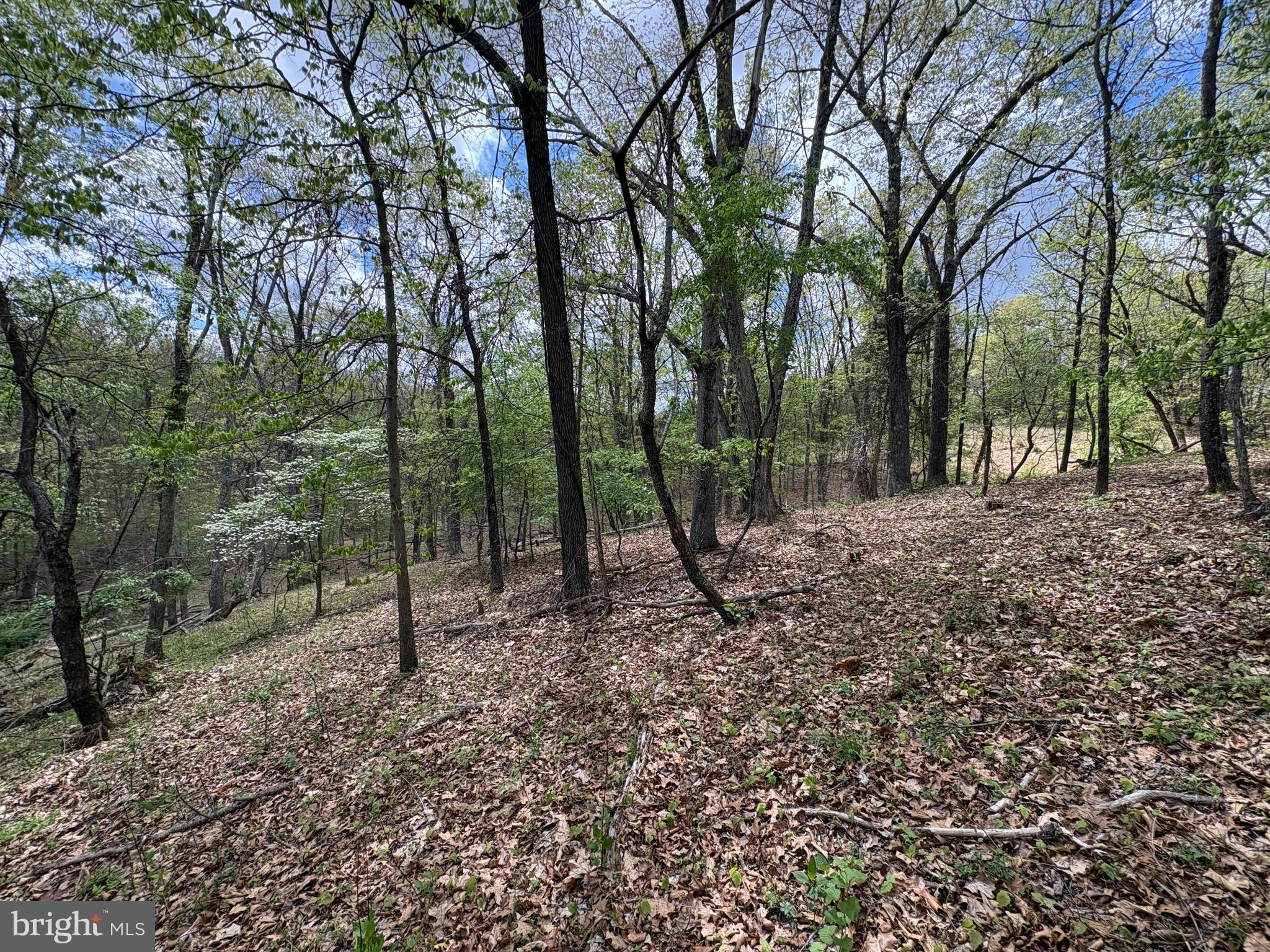 CABIN ON THE MOUNTAIN - Land