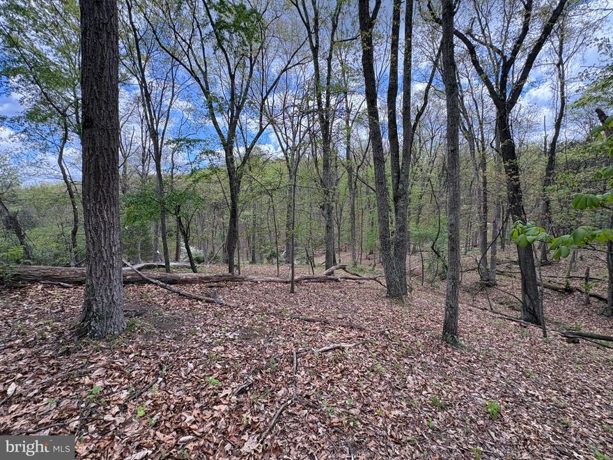 This 5-acre wooded tract in Cabin on the Mountain offers an affordable piece of West Virginia ground in an area known for recreation, hunting, and easy access to the South Branch of the Potomac River. Covered in mature hardwood timber, the lot has the kind of natural setting and mountain character that makes it easy to enjoy from day one. Whether you are looking for a weekend escape, a hunting property, or a simple place to get away, this tract has a lot to offer. The surrounding area is well known for strong hunting, and the location is ideal for anyone wanting a mountain property without being too far off the grid. It is conveniently located within two hours of Washington, D.C., and about an hour from Winchester, Virginia.
A power line crosses the property, but that also creates a practical advantage by opening up the ground for visibility, shooting lanes, and easier hunting setup. Paired with the surrounding hardwoods, it gives the tract a good mix of cover and open space that can work well for recreational use. If you have been looking for an affordable mountain lot with solid hunting appeal and a good location, this one is worth a look.