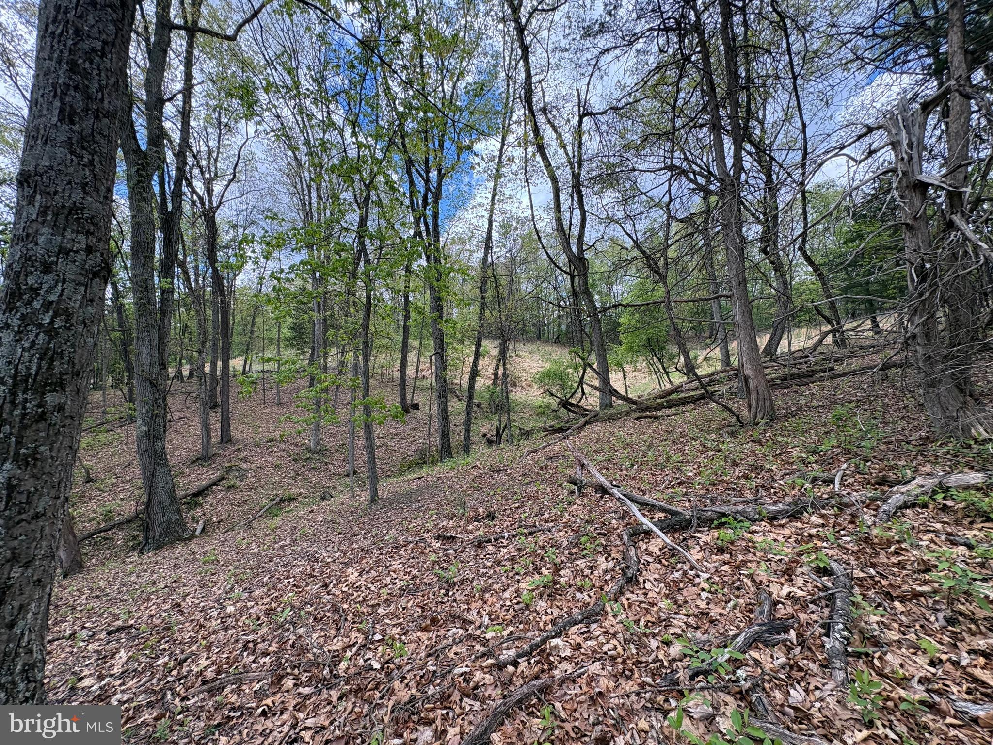 CABIN ON THE MOUNTAIN - Land