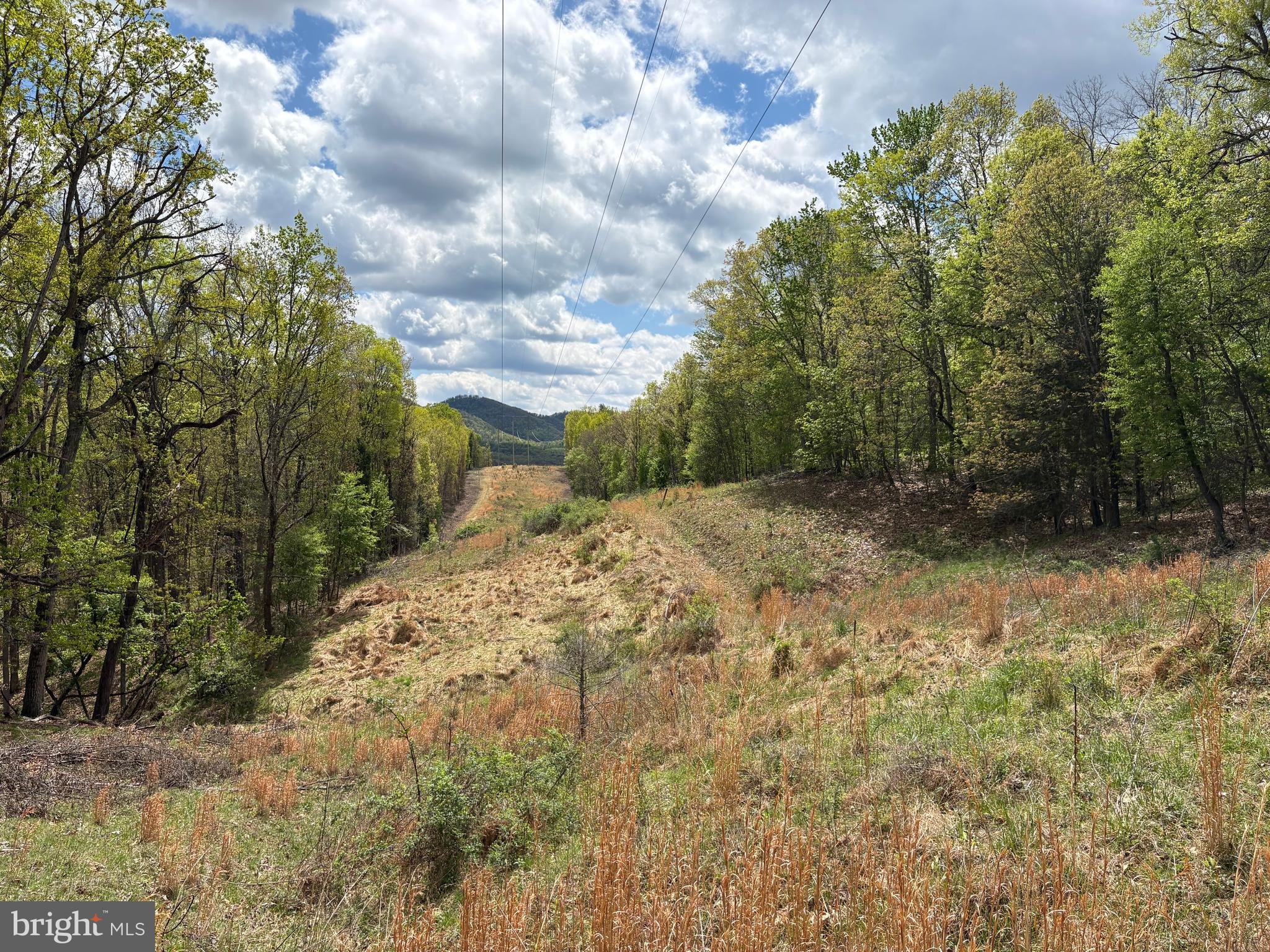CABIN ON THE MOUNTAIN - Land