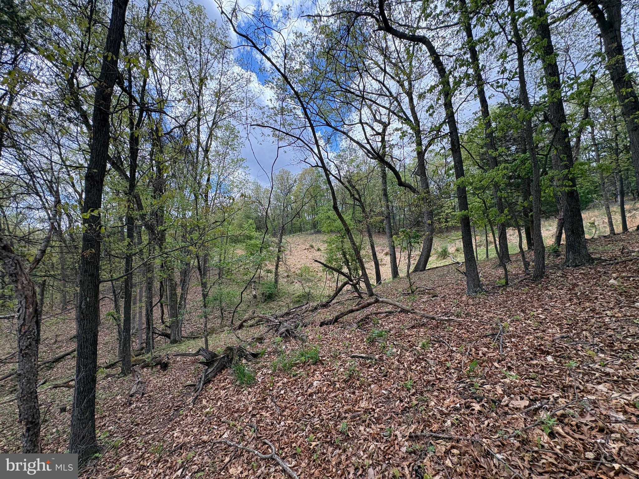 CABIN ON THE MOUNTAIN - Land