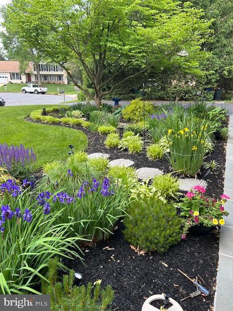 10630 HESPERIAN DRIVE