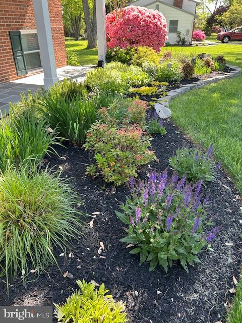 10630 HESPERIAN DRIVE