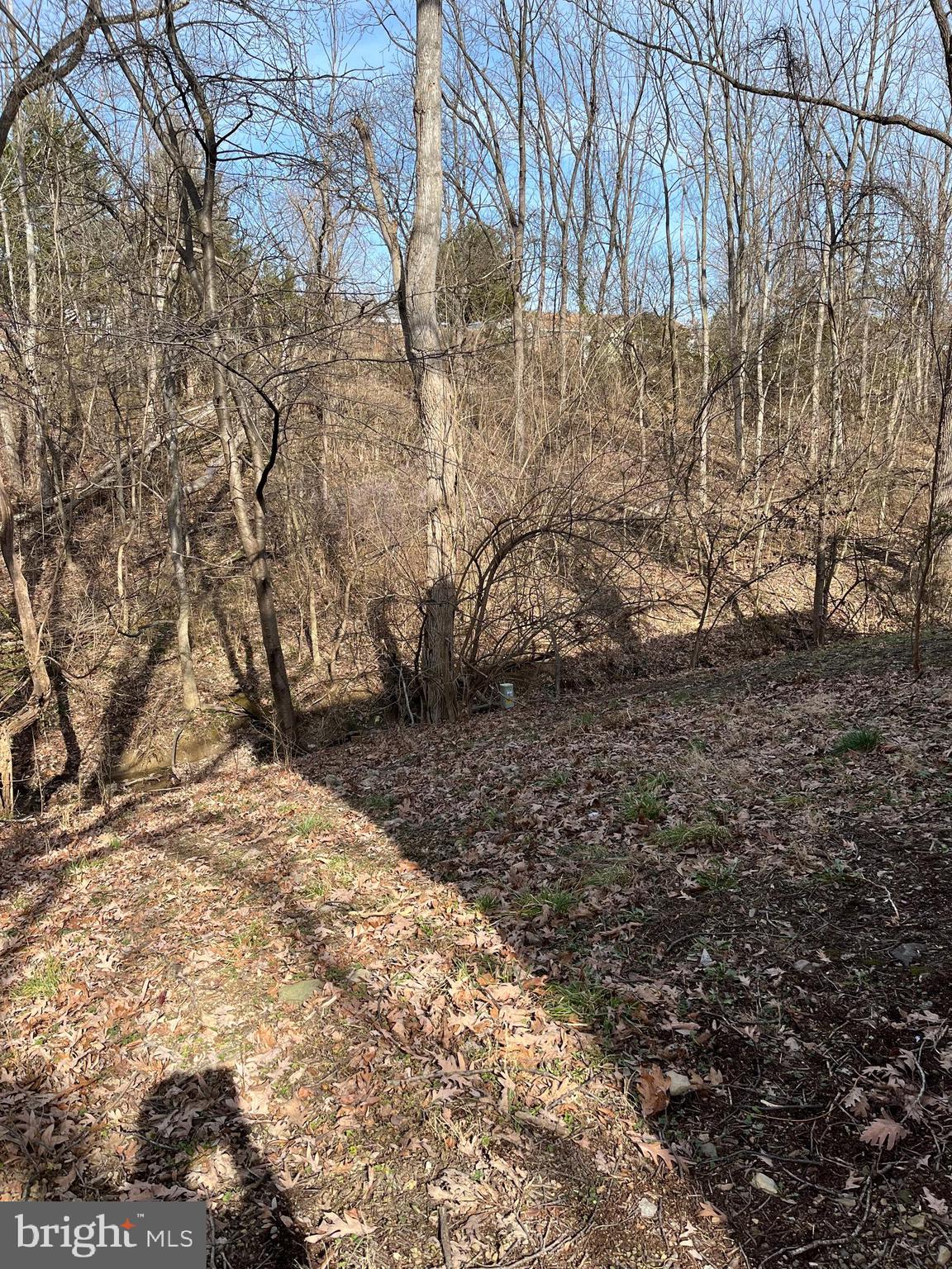 LAKERIDGE - Residential Lease