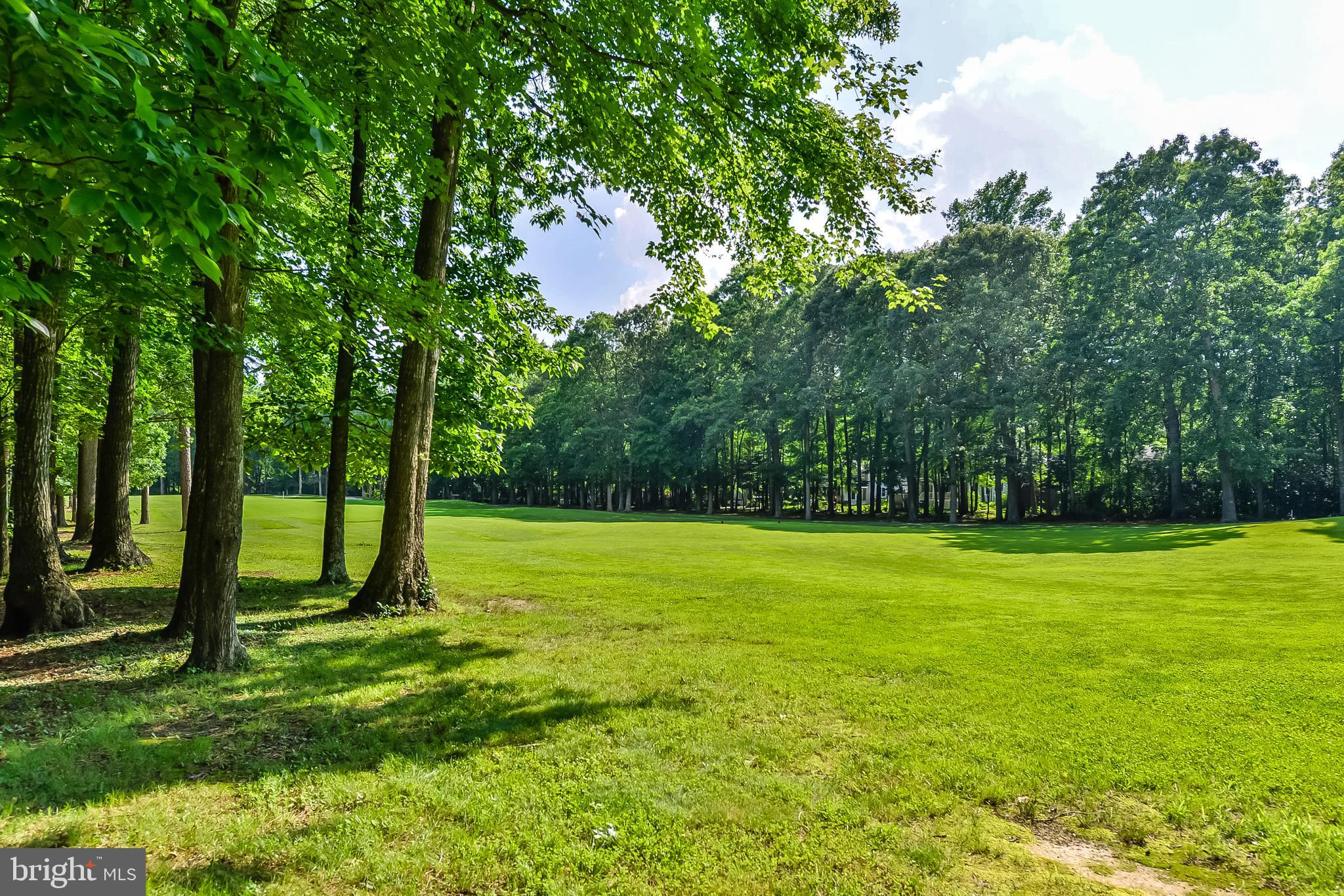 OCEAN PINES - MUMFORD'S WOODS - Residential