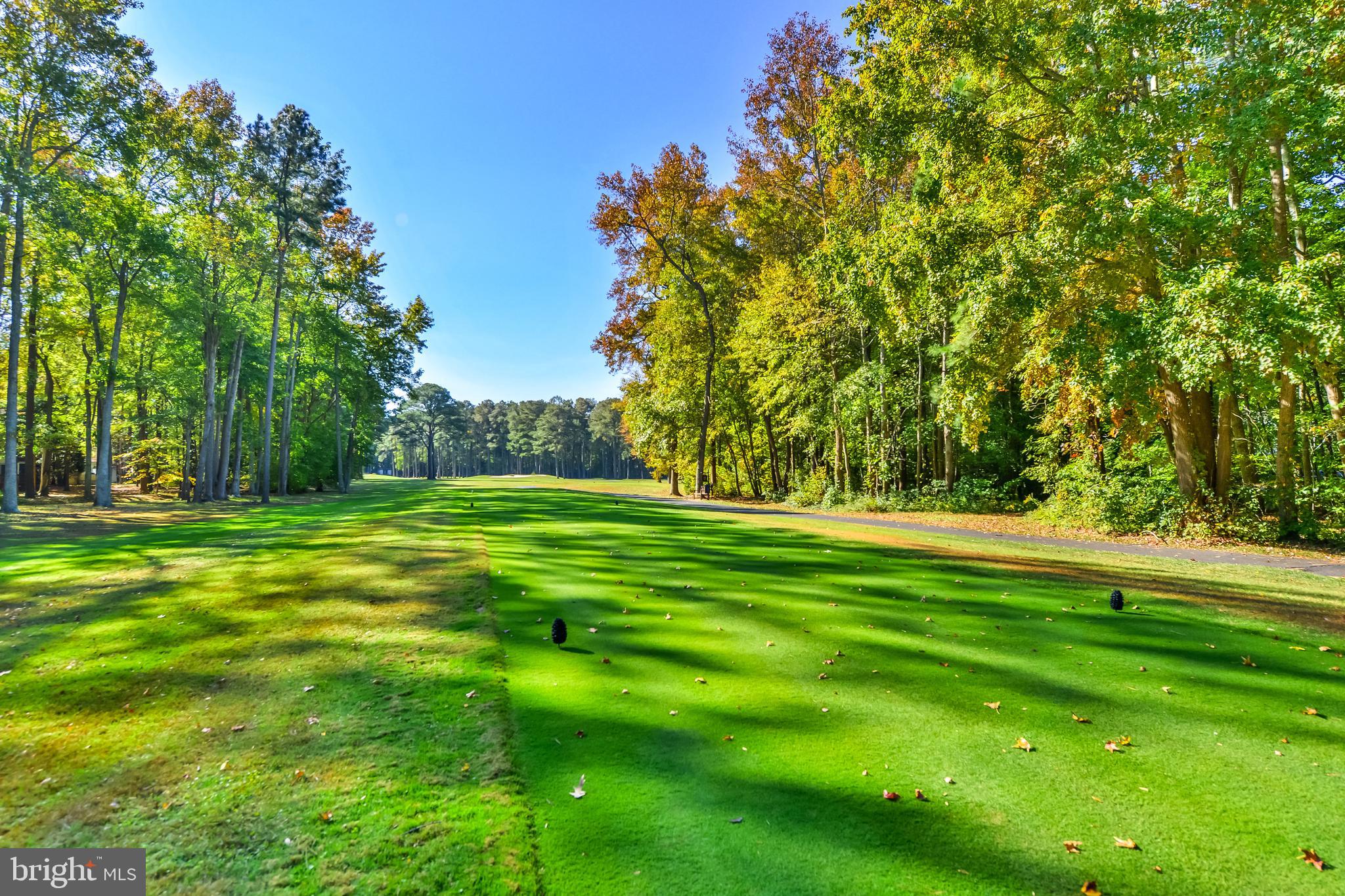 OCEAN PINES - MUMFORD'S WOODS - Residential