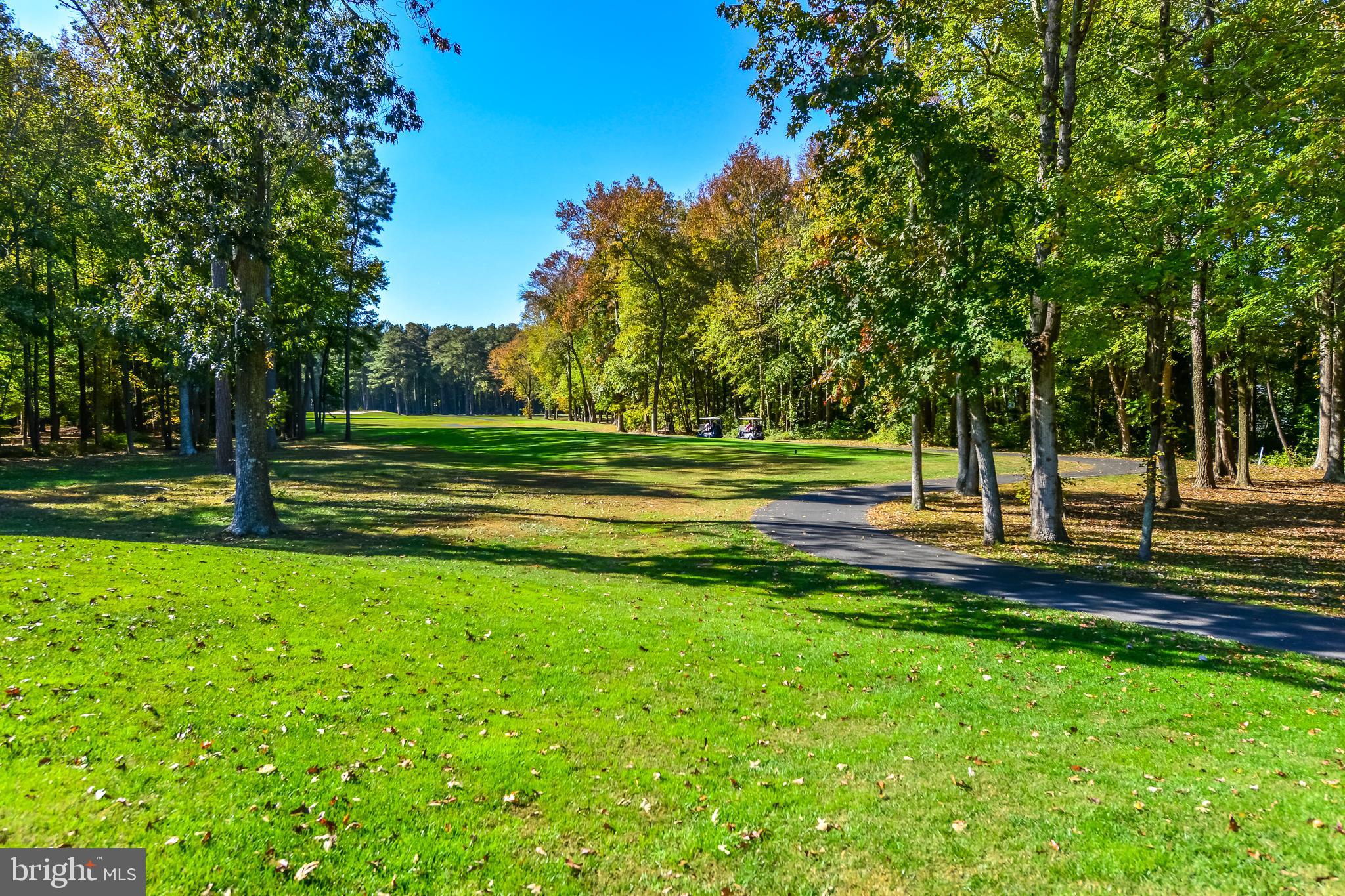 OCEAN PINES - MUMFORD'S WOODS - Residential