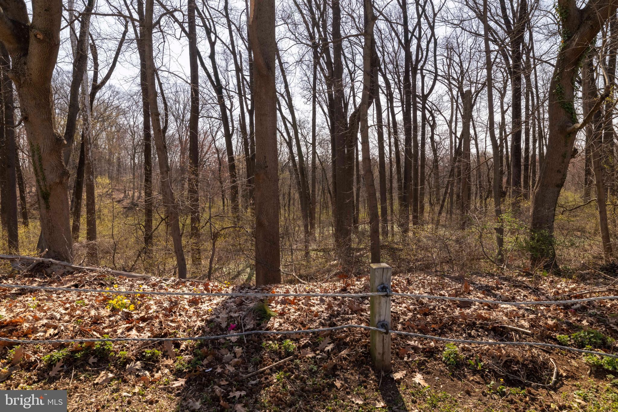 WINCHESTER PARK - Residential