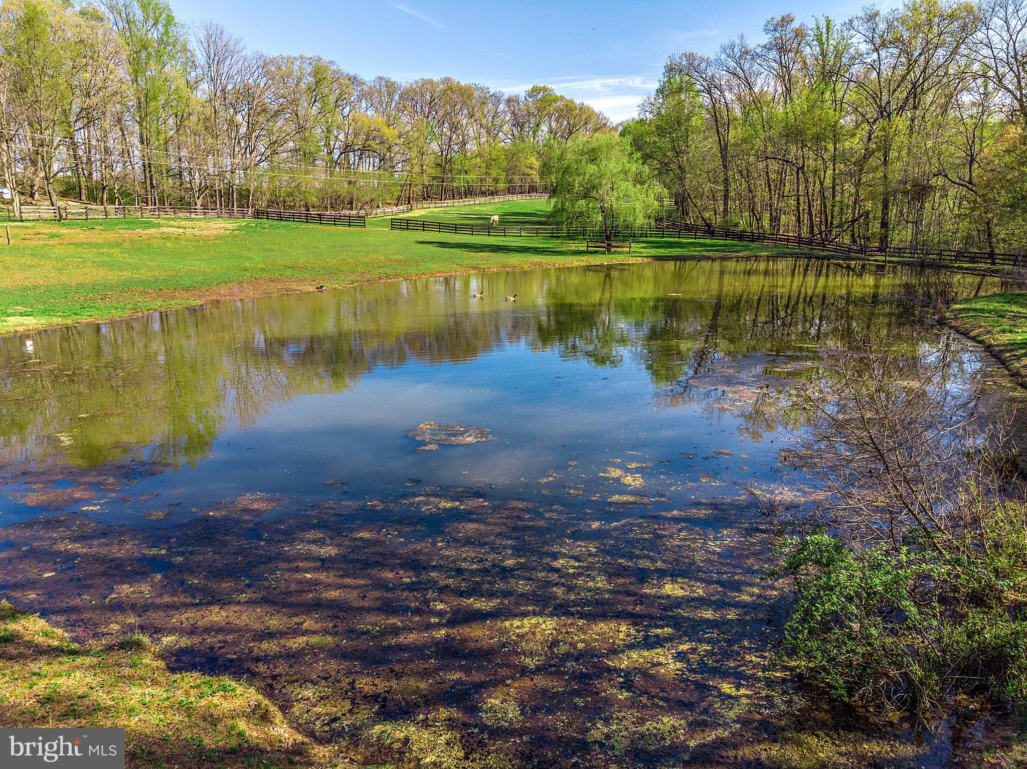 LUCKETTS - Residential